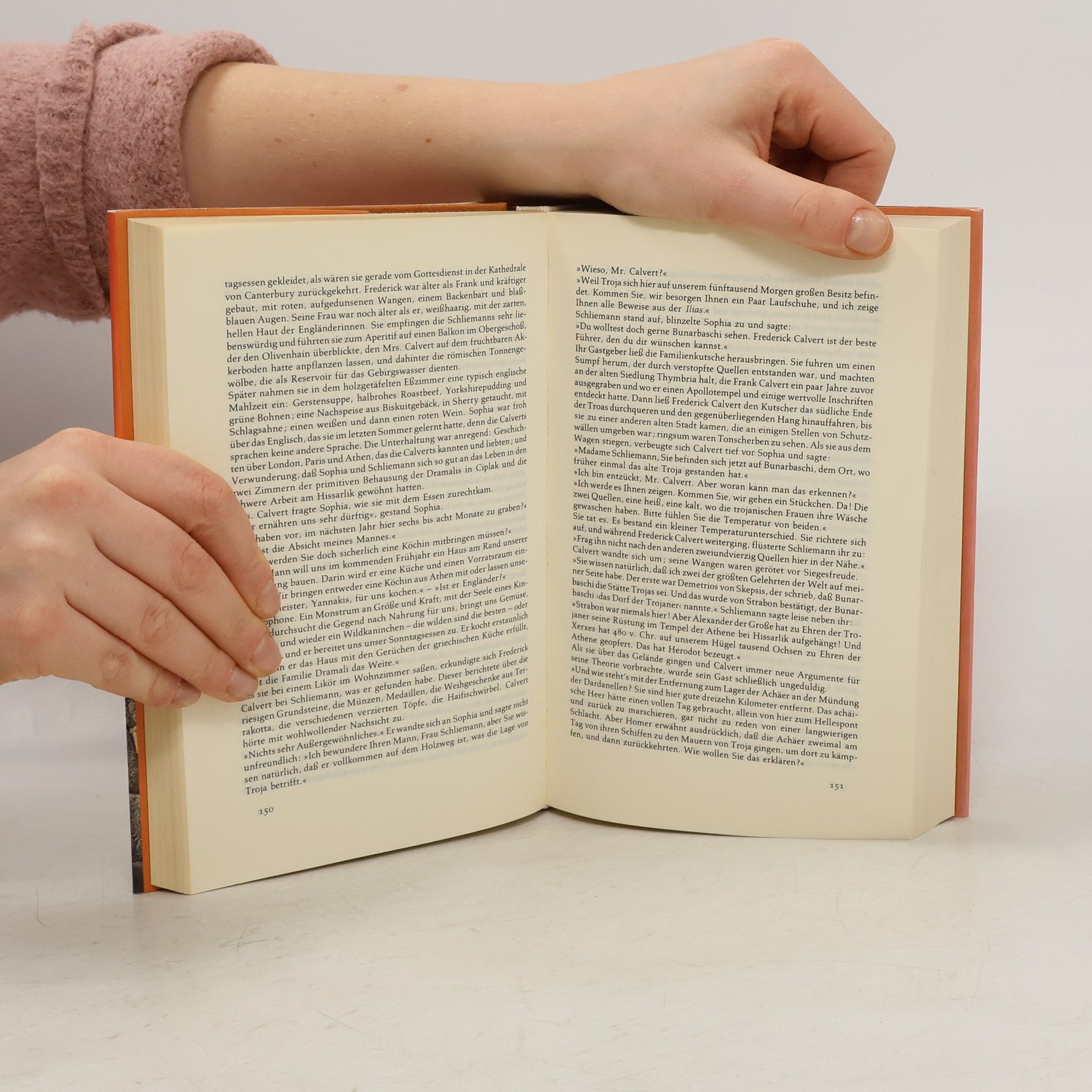 Irving Stone Der griechische Schatz