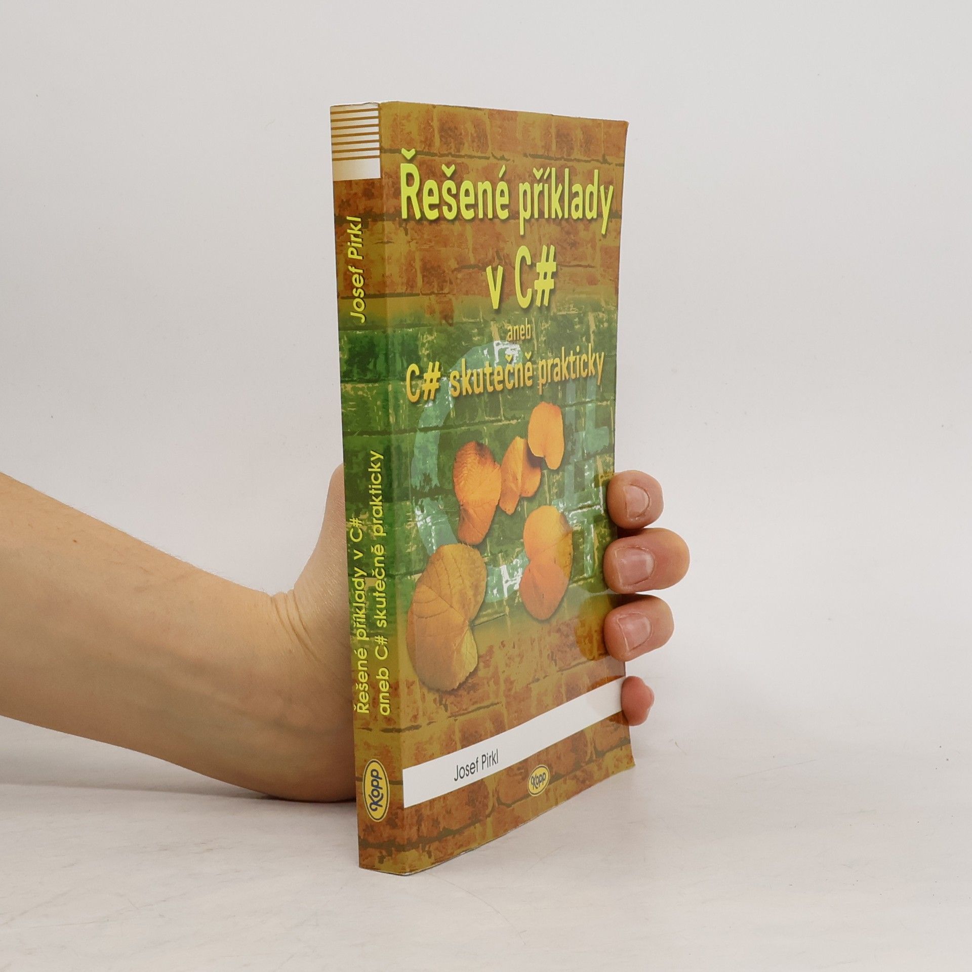 Josef Pirkl Řešené příklady v C# aneb C# skutečně prakticky