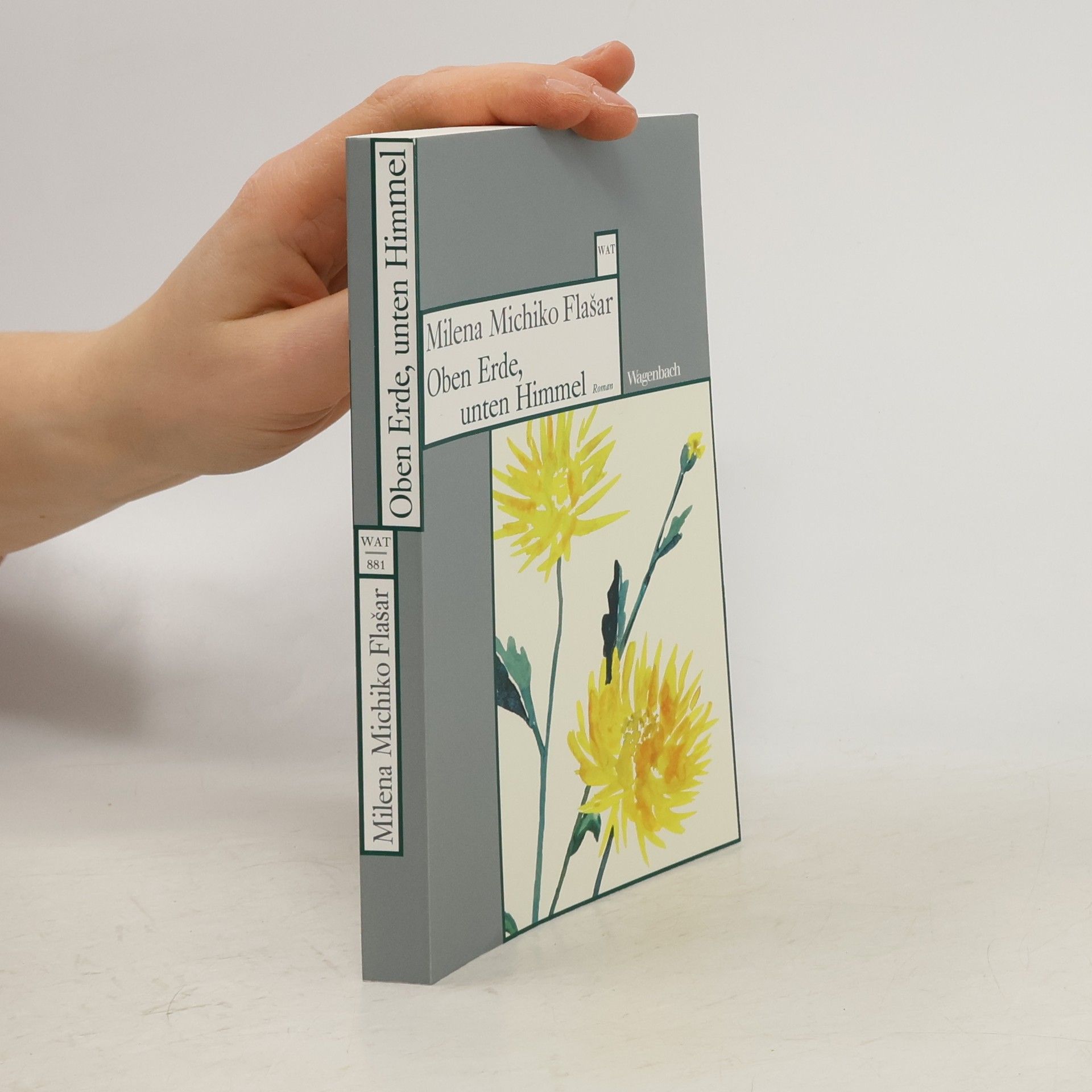 Milena Michiko Flašar Oben Erde, unten Himmel