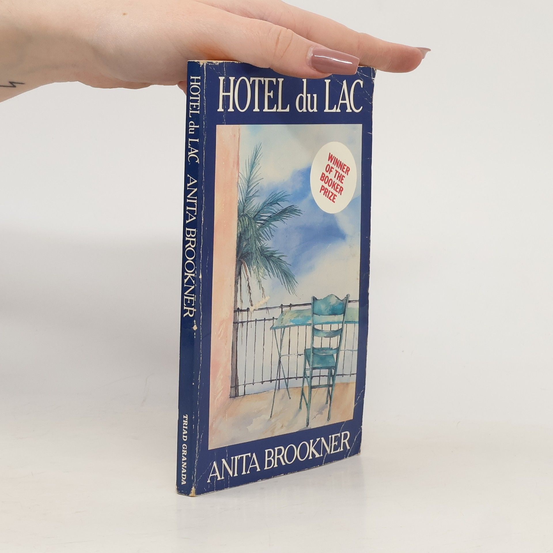 Anita Brookner Hotel du Lac