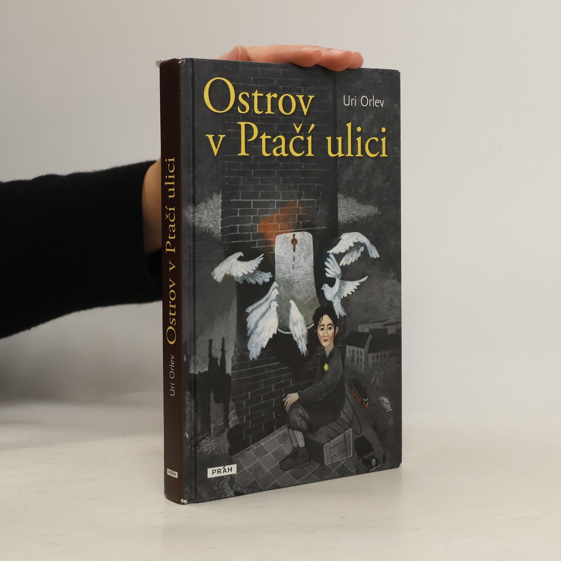 Uri Orlev Ostrov v Ptačí ulici