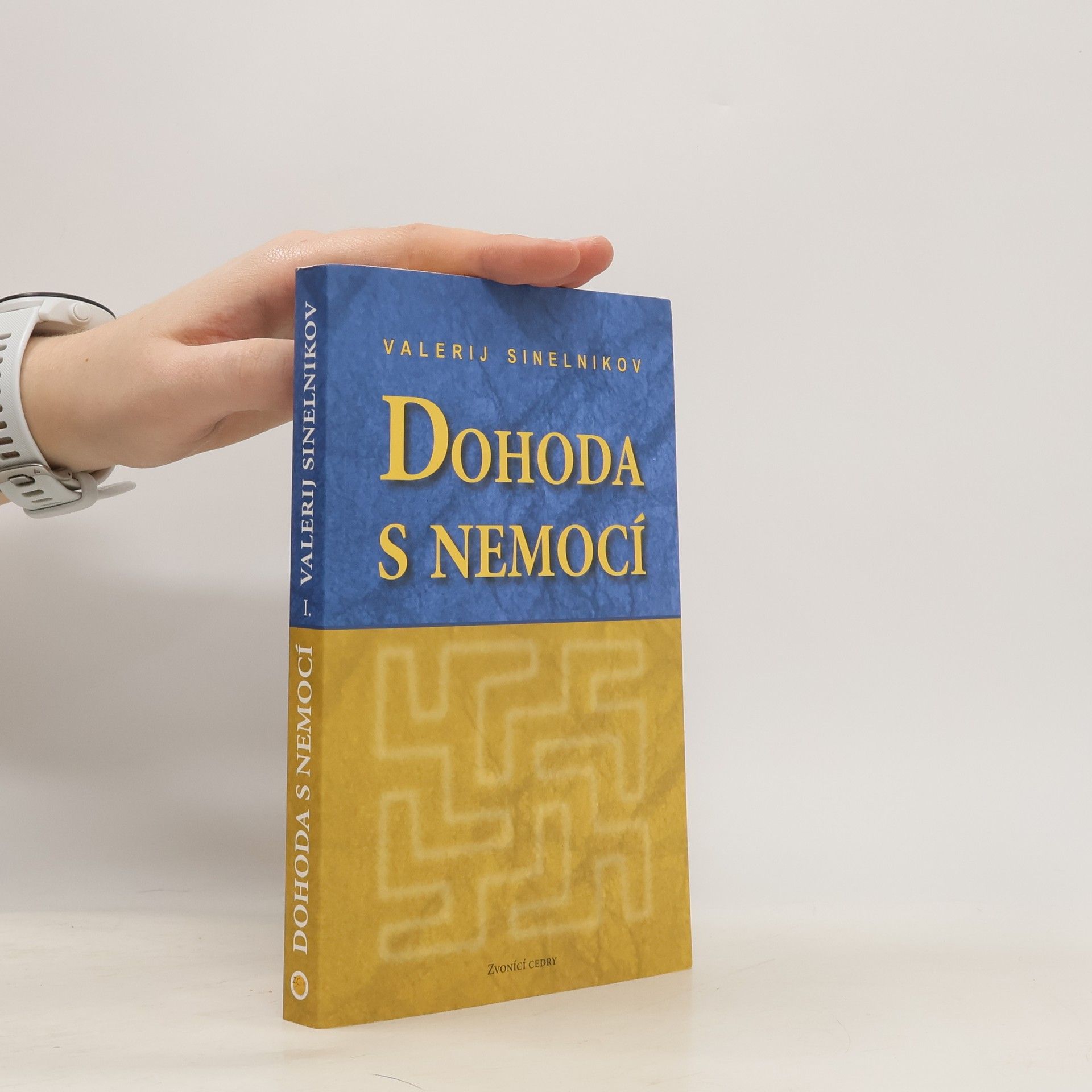 Valerij Vladimirovič Sinel‘nikov Dohoda s nemocí. Kniha první