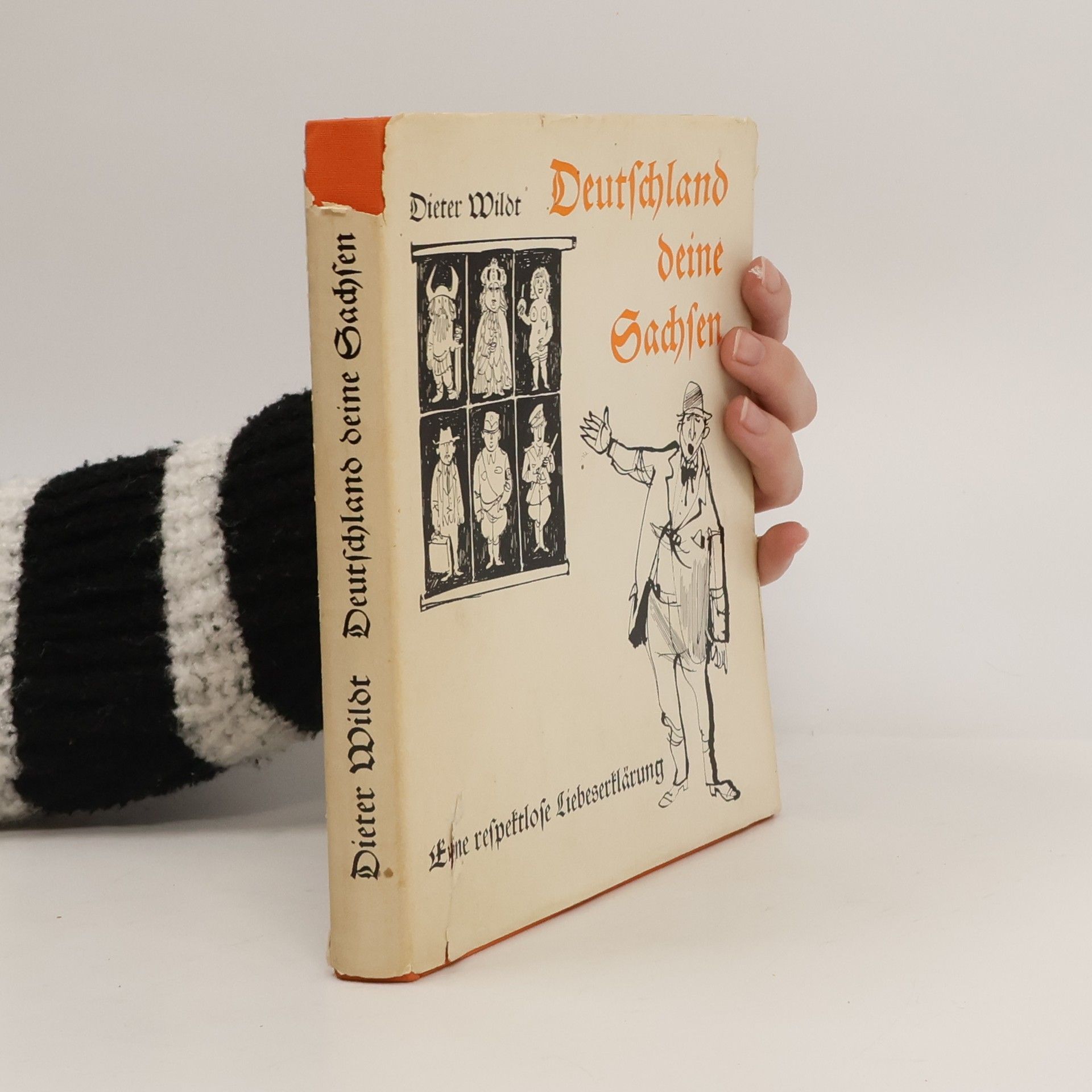 Dieter Wildt Deutschland deine Sachsen