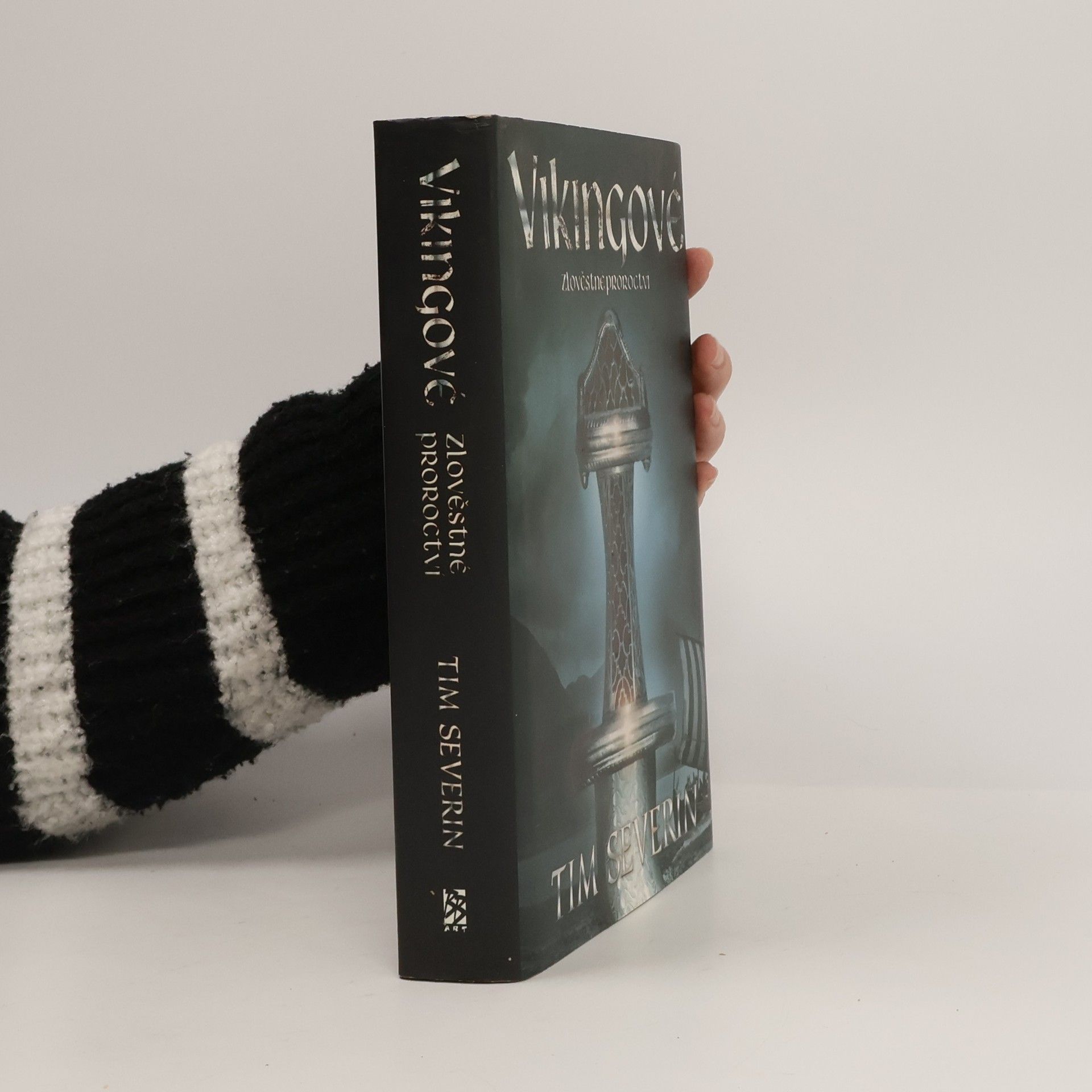 Tim Severin Vikingové 2