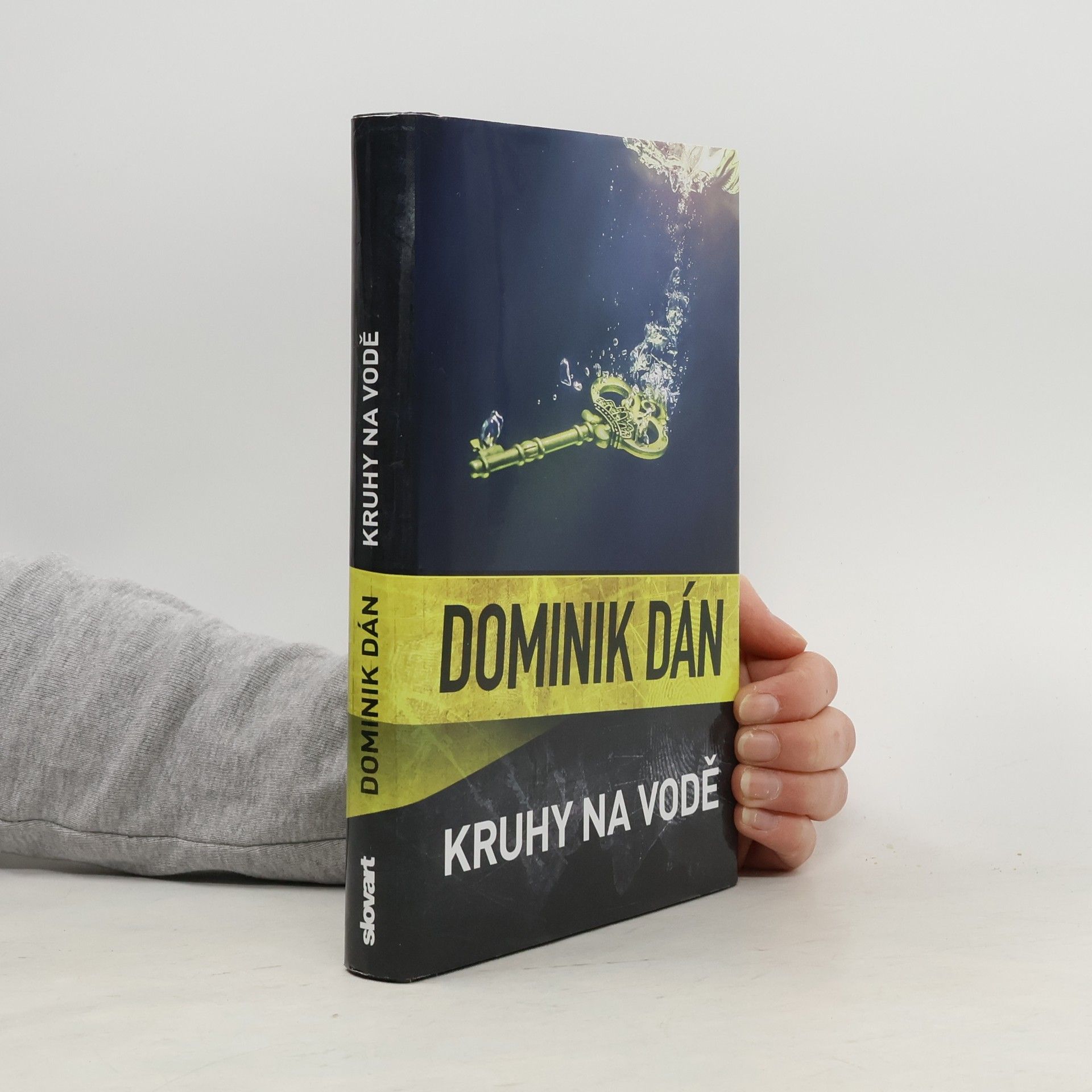 Dominik Dán Kruhy na vodě