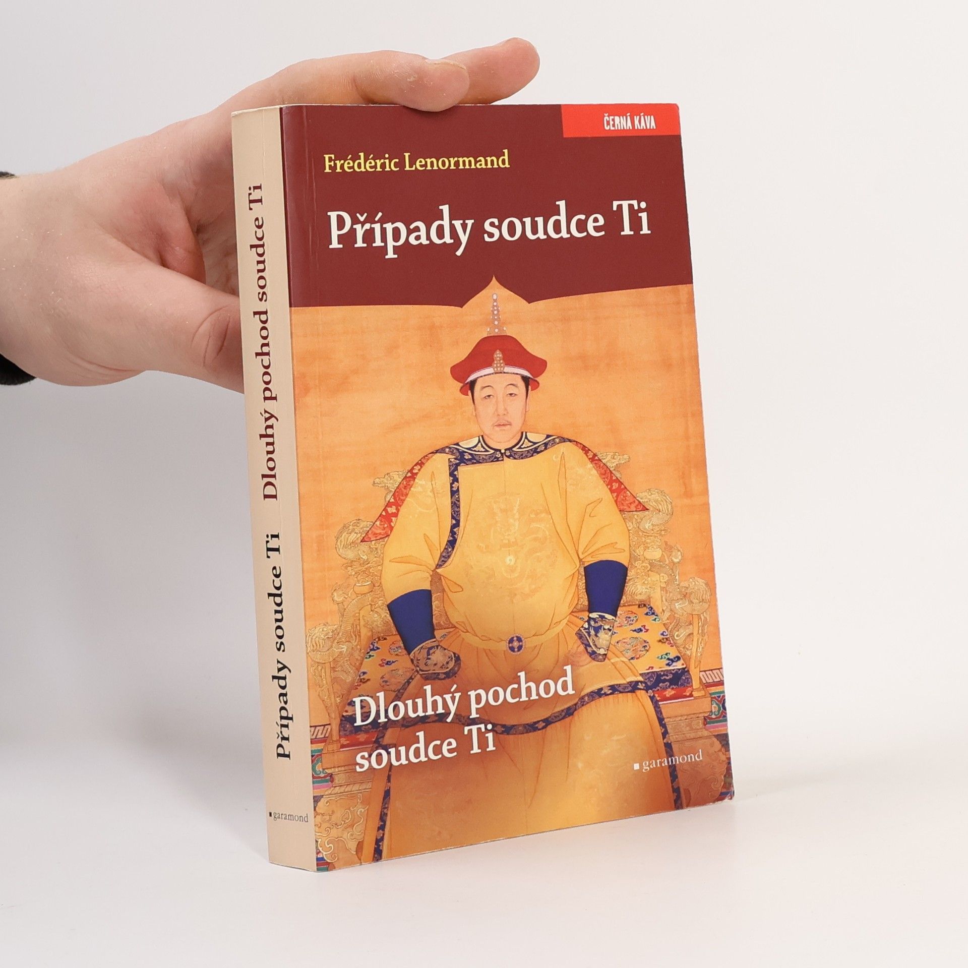 Frédéric Lenormand Případy soudce Ti. Dlouhý pochod soudce Ti