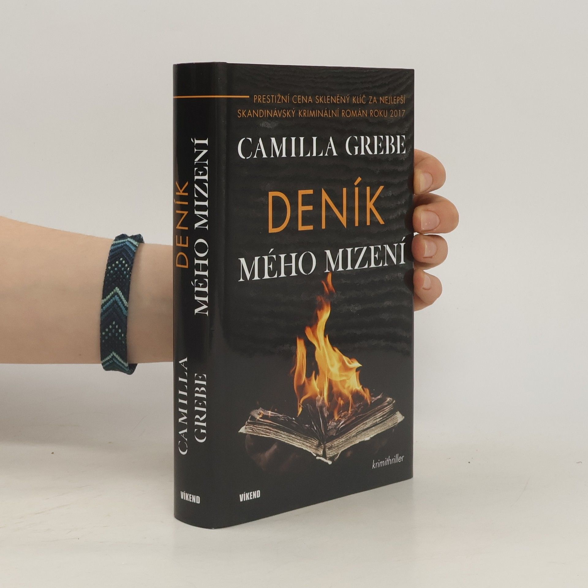Camilla Grebe Deník mého mizení