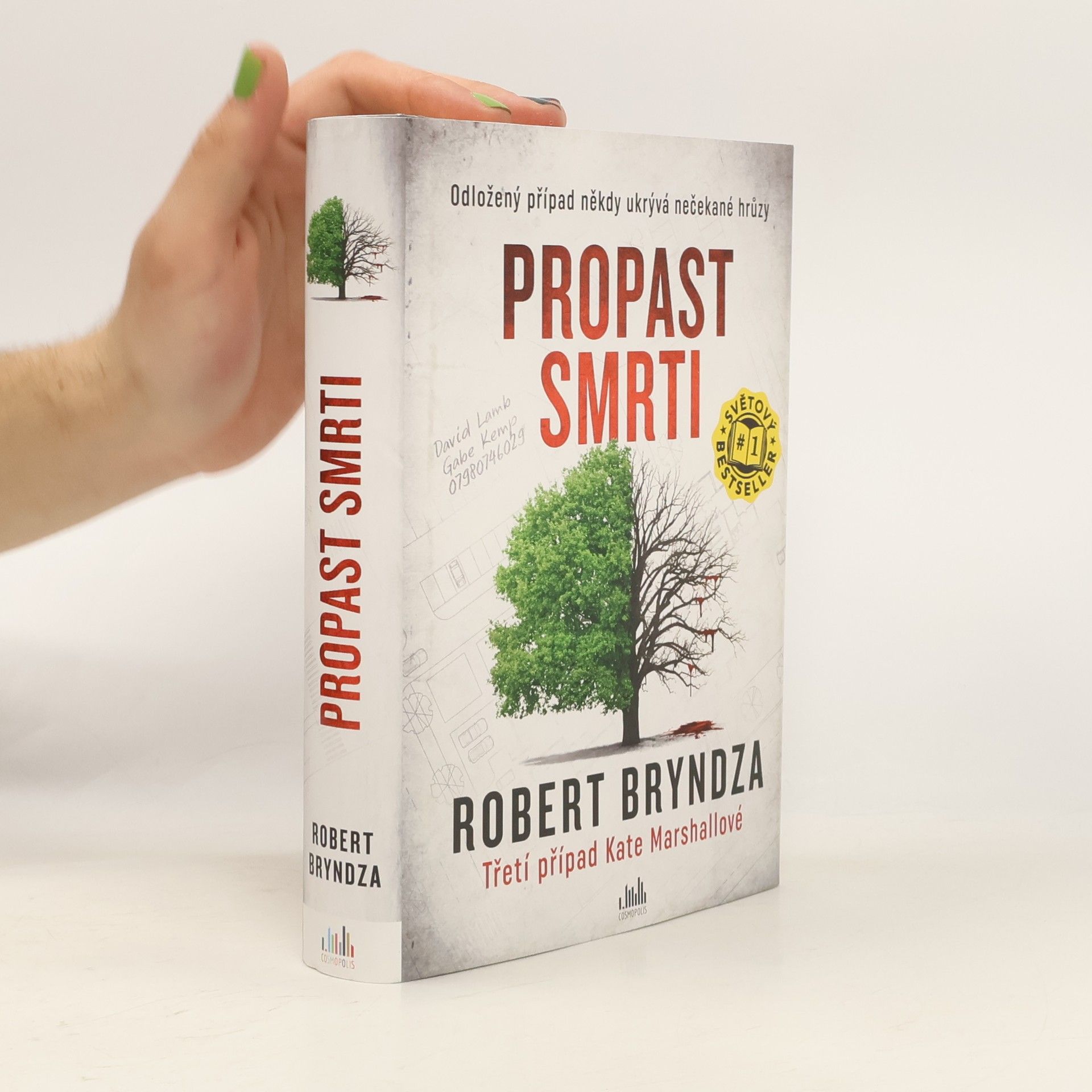 Robert Bryndza Propast smrti