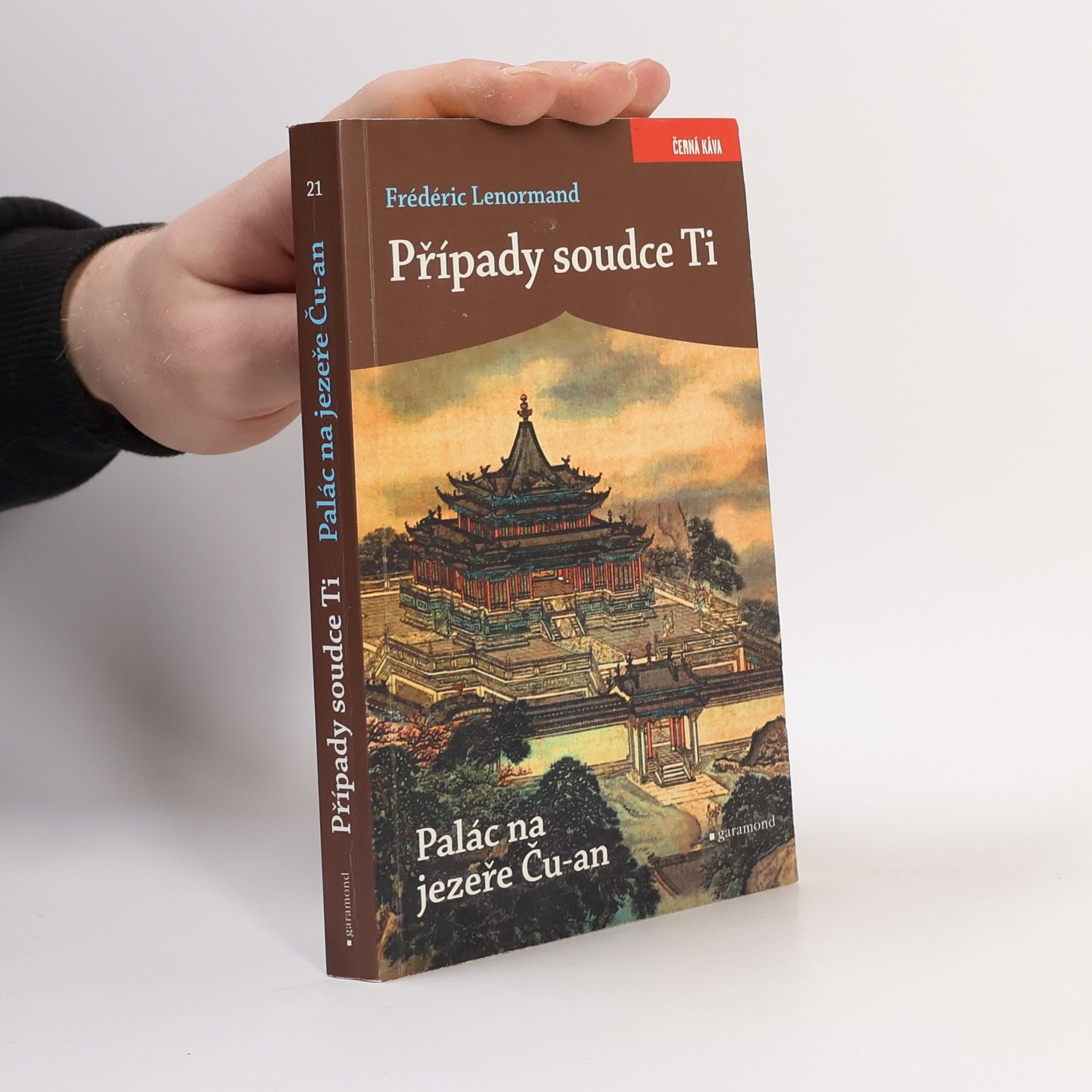 Frédéric Lenormand Případy soudce Ti: Palác na jezeře Ču-an