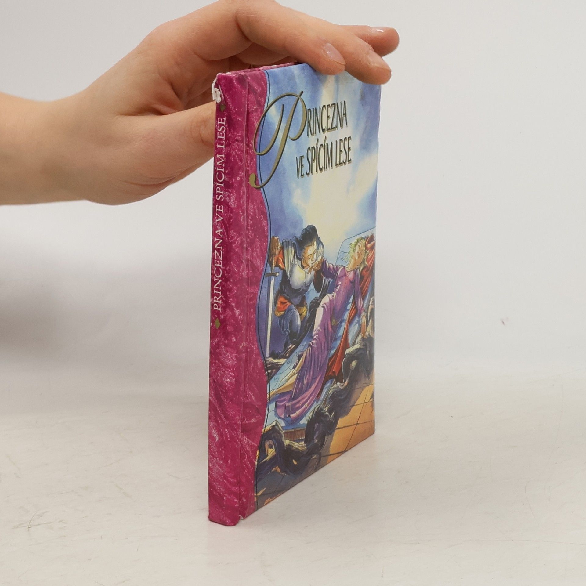 Jitka Kisielewska Princezna ve spícím lese