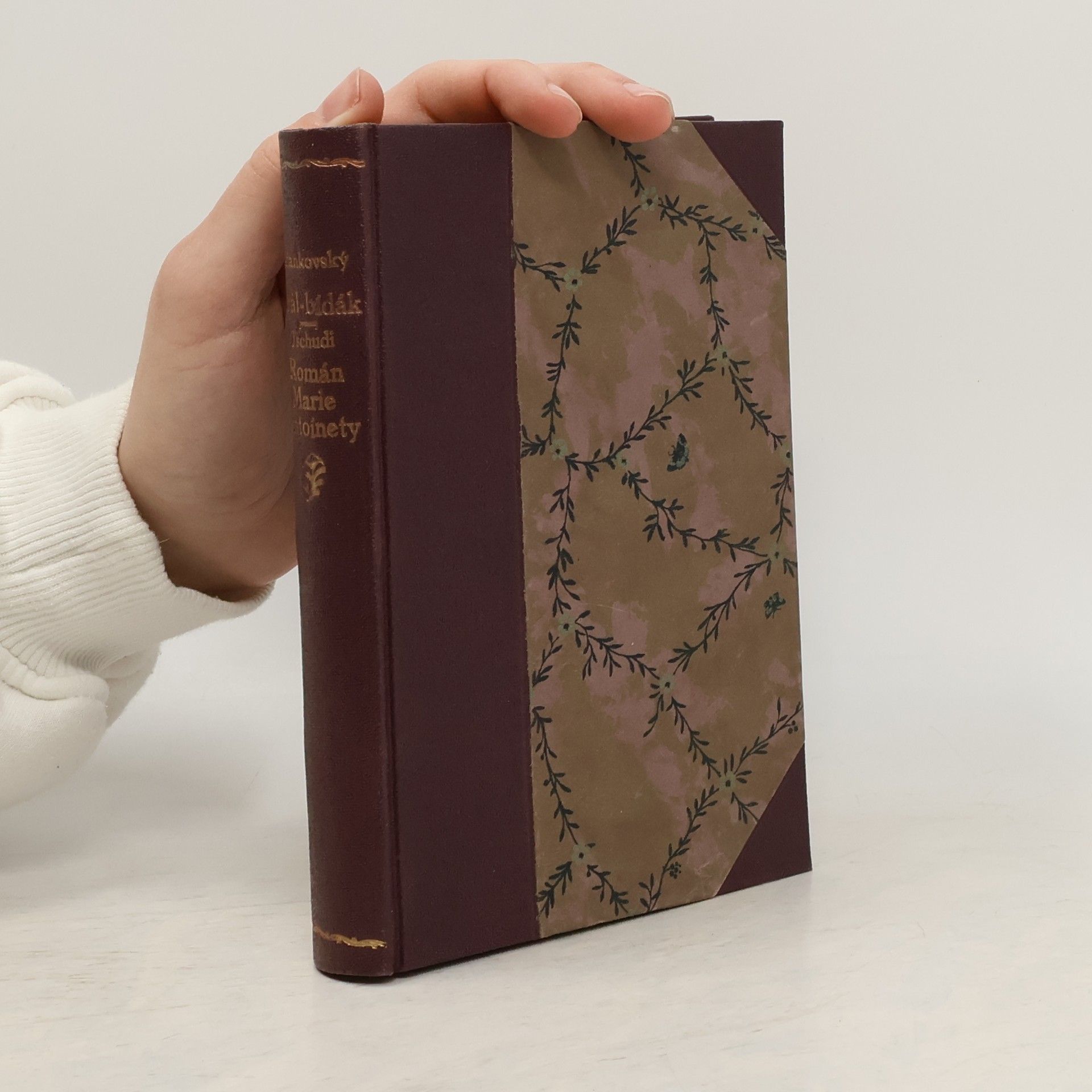 Josef Jiří Stankovský Král Bídák