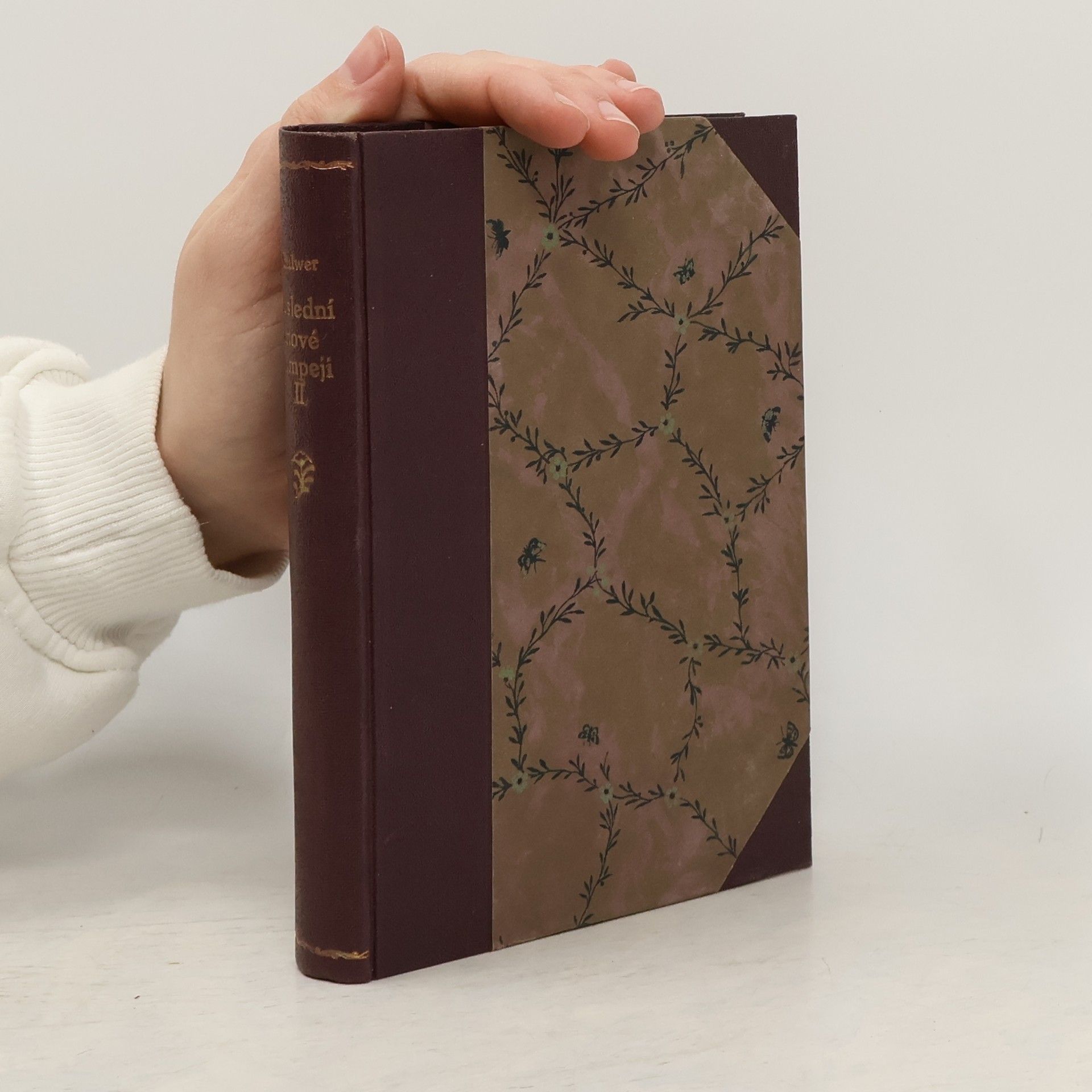 Poslední dnové Pompejí