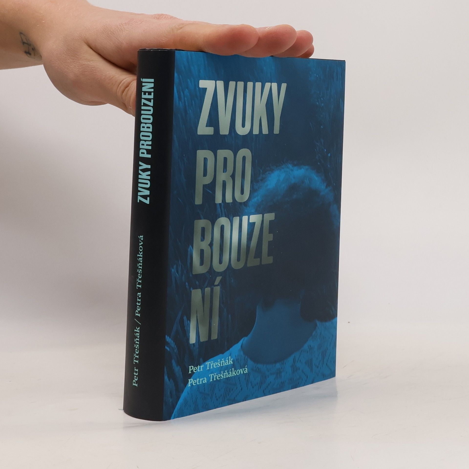 Petr Třešňák Zvuky probouzení