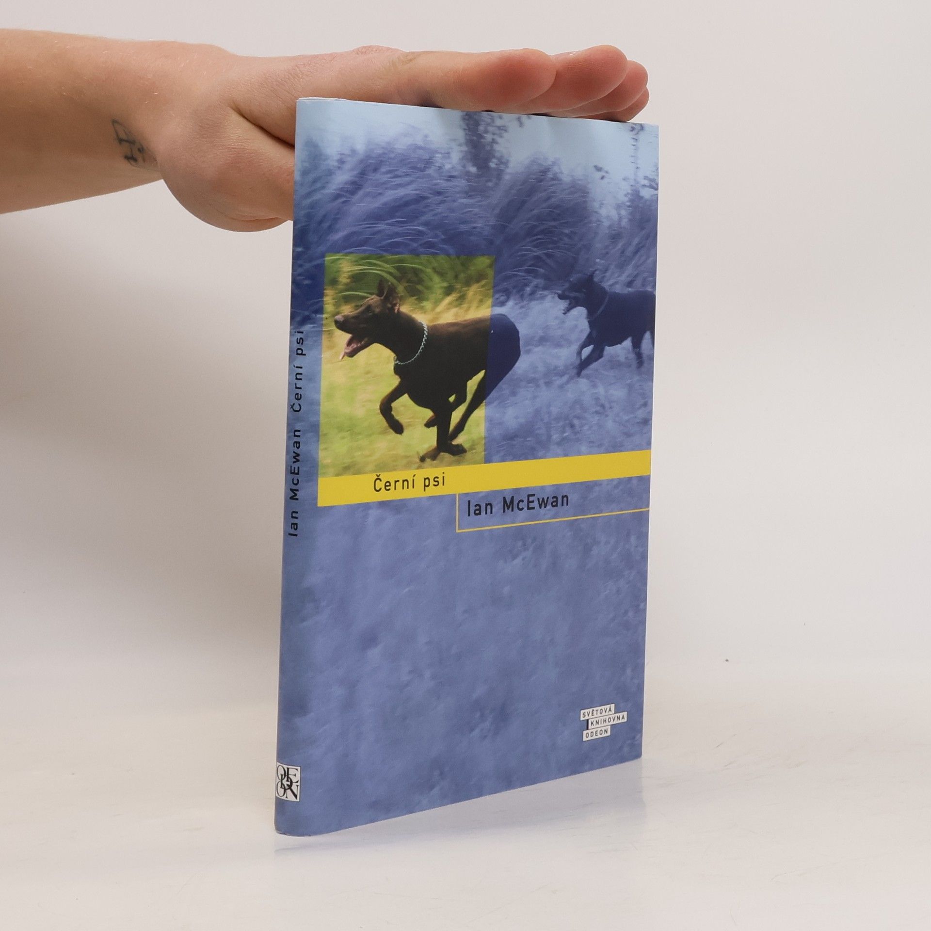 Ian McEwan Černí psi