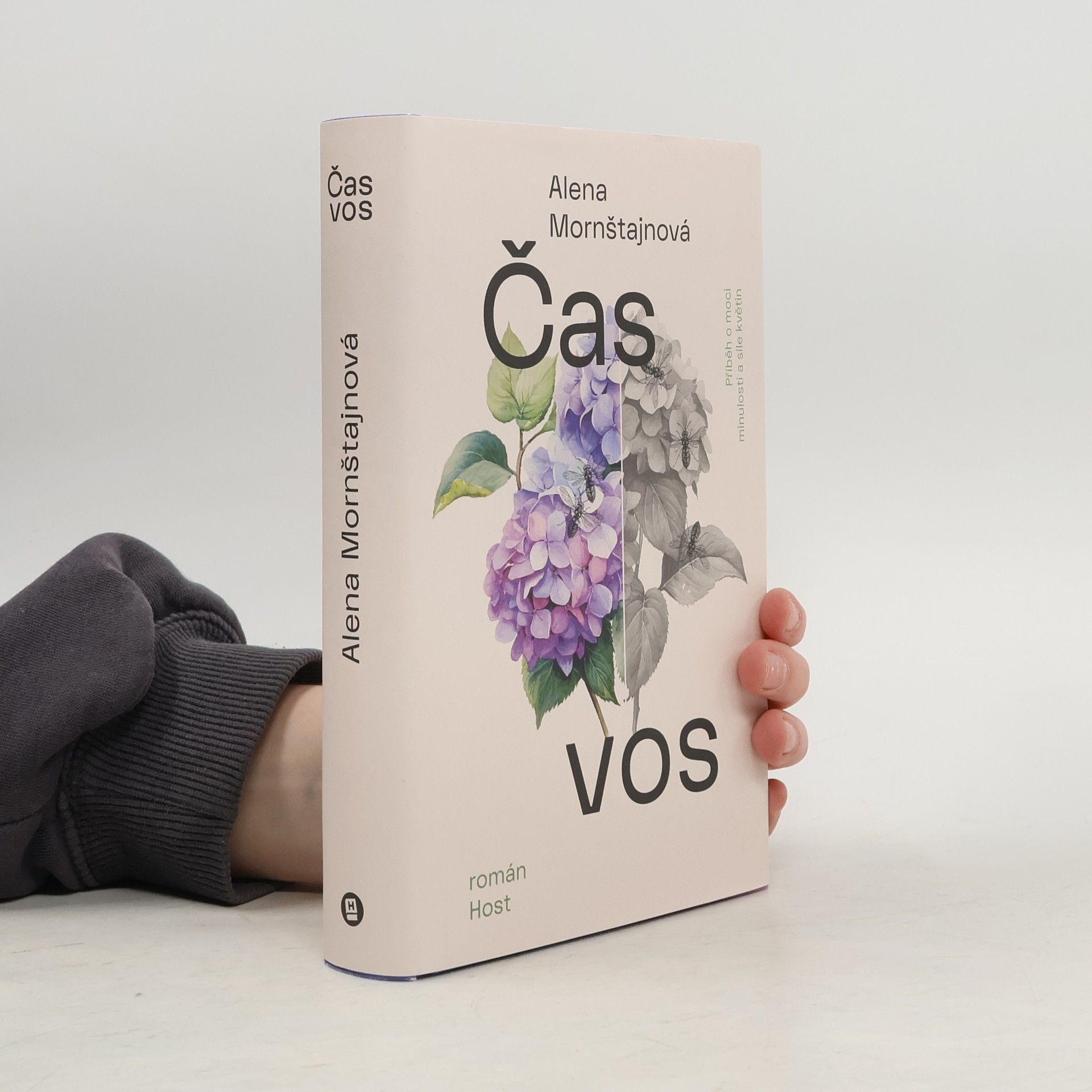 Alena Mornštajnová Čas vos