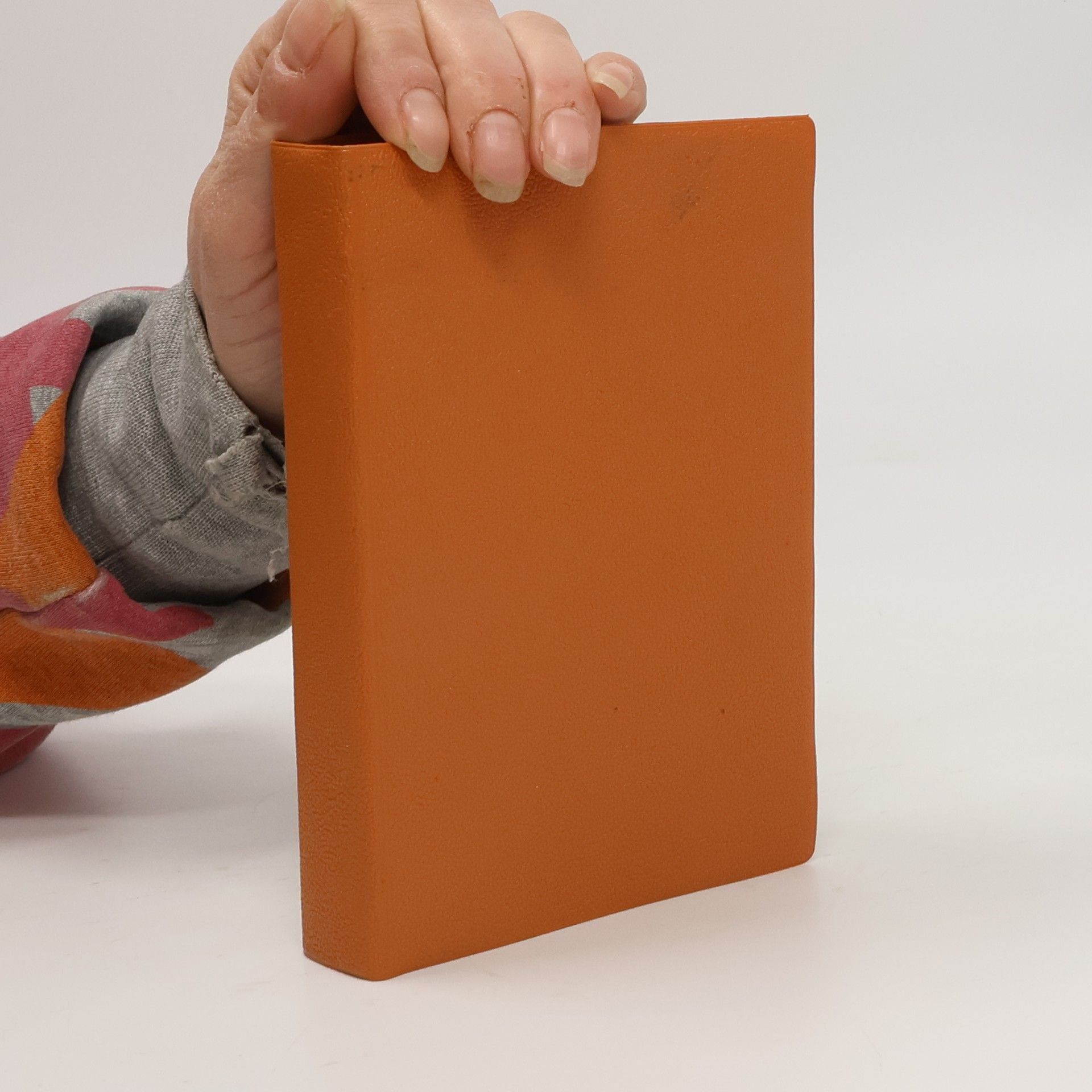 Autorenkollektiv Biblí svatá aneb všecka svatá písma starého i nového zákona