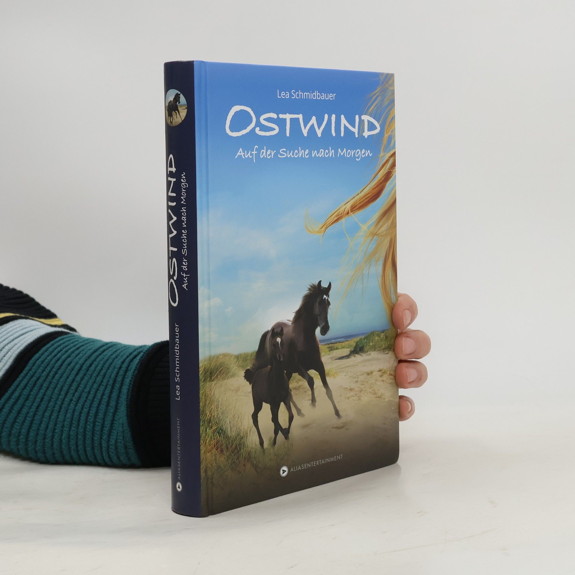 Ostwind - auf der Suche nach Morgen