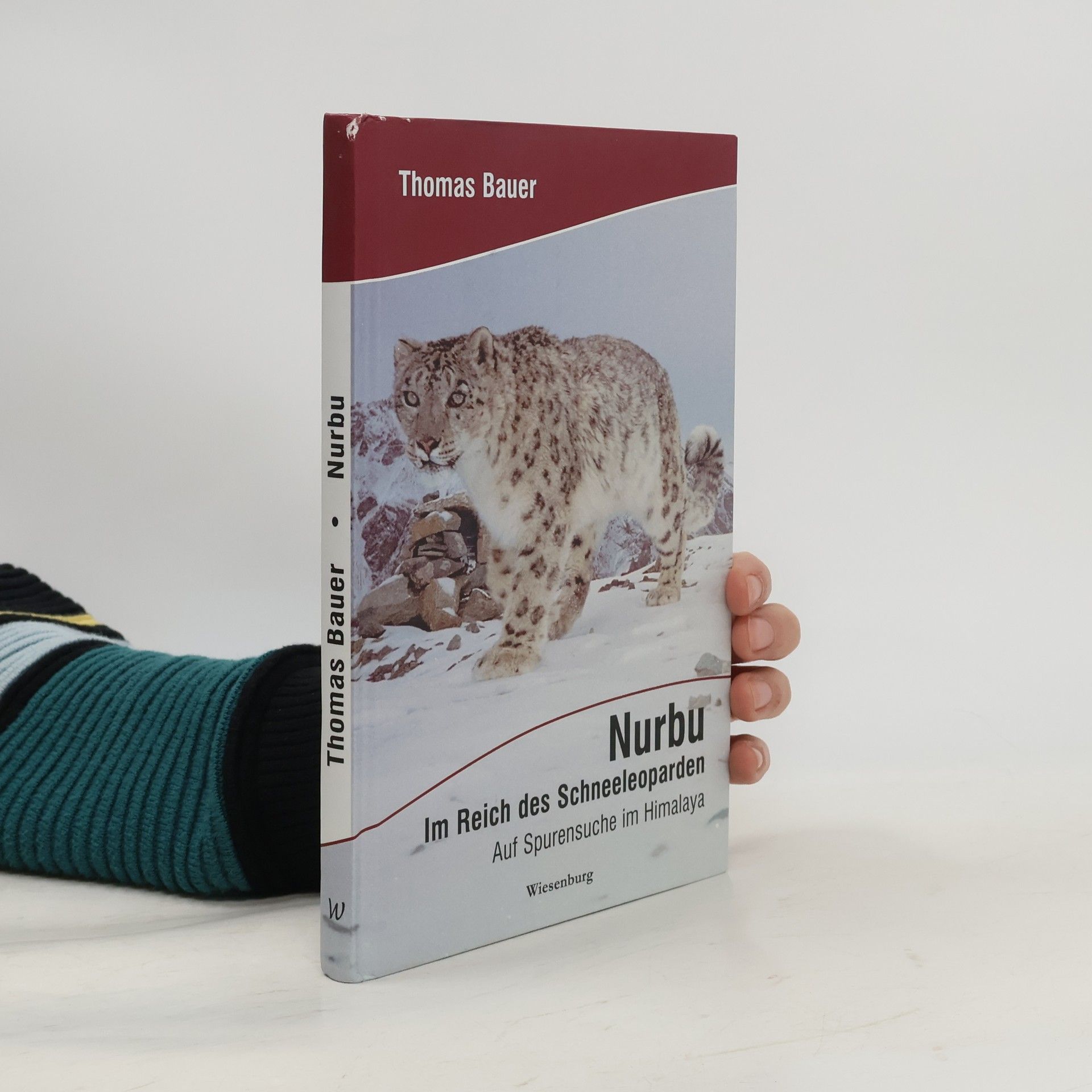 Thomas Bauer-Kotelenez Nurbu