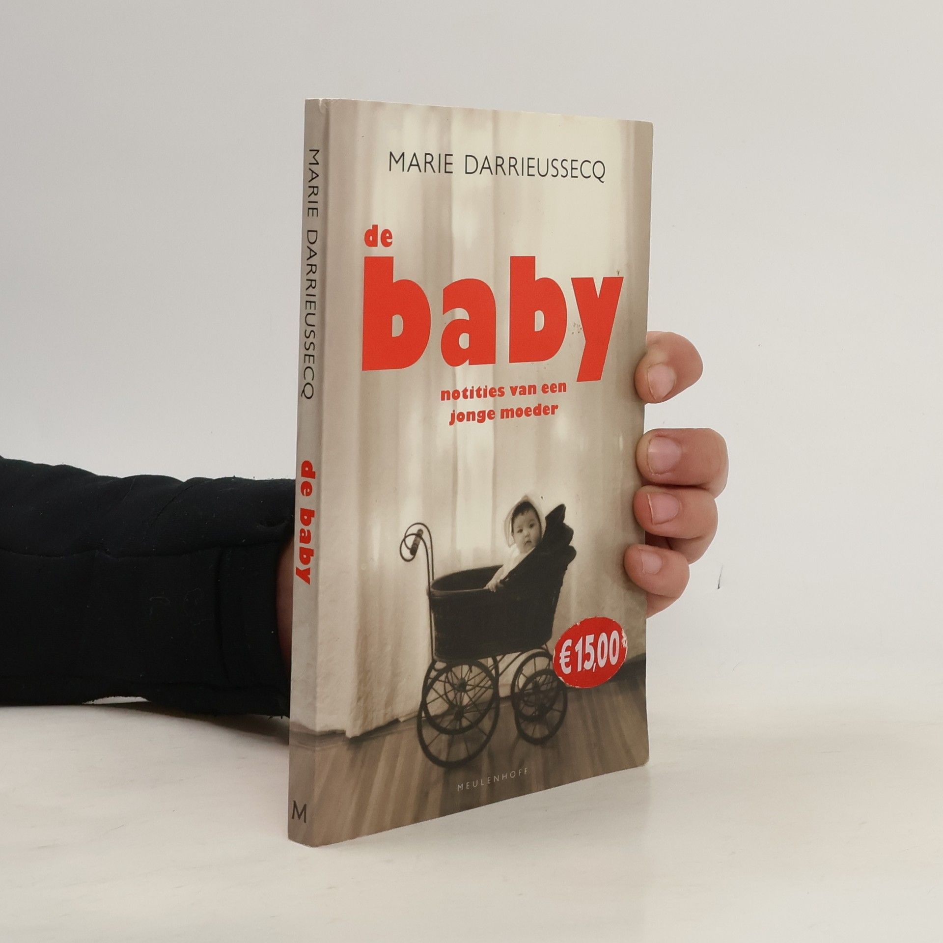 Marie Darrieussecq De baby