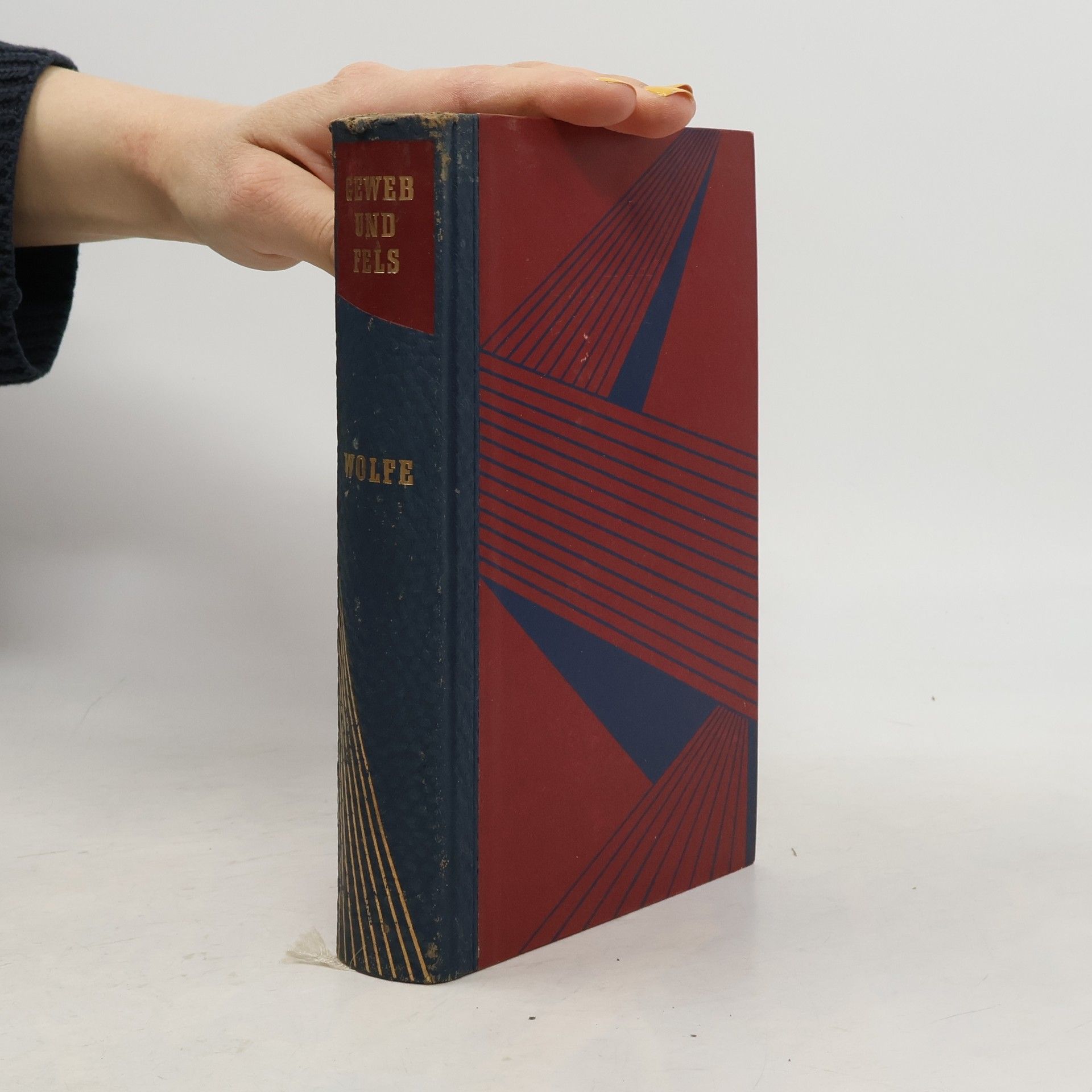 Thomas Wolfe Geweb und Fels