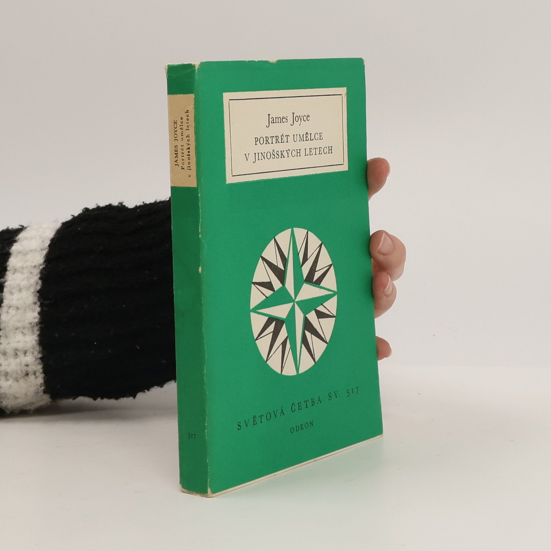 James Joyce Portrét umělce v jinošských letech