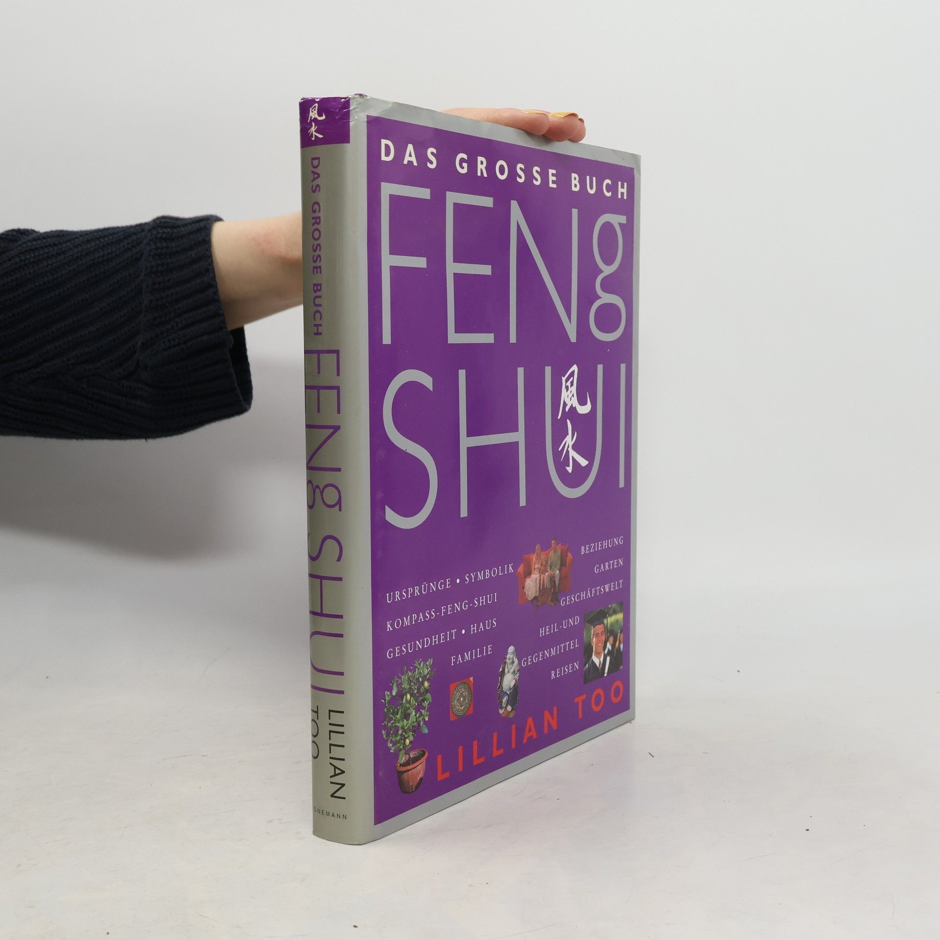 Lillian Too Das grosse Buch Feng Shui