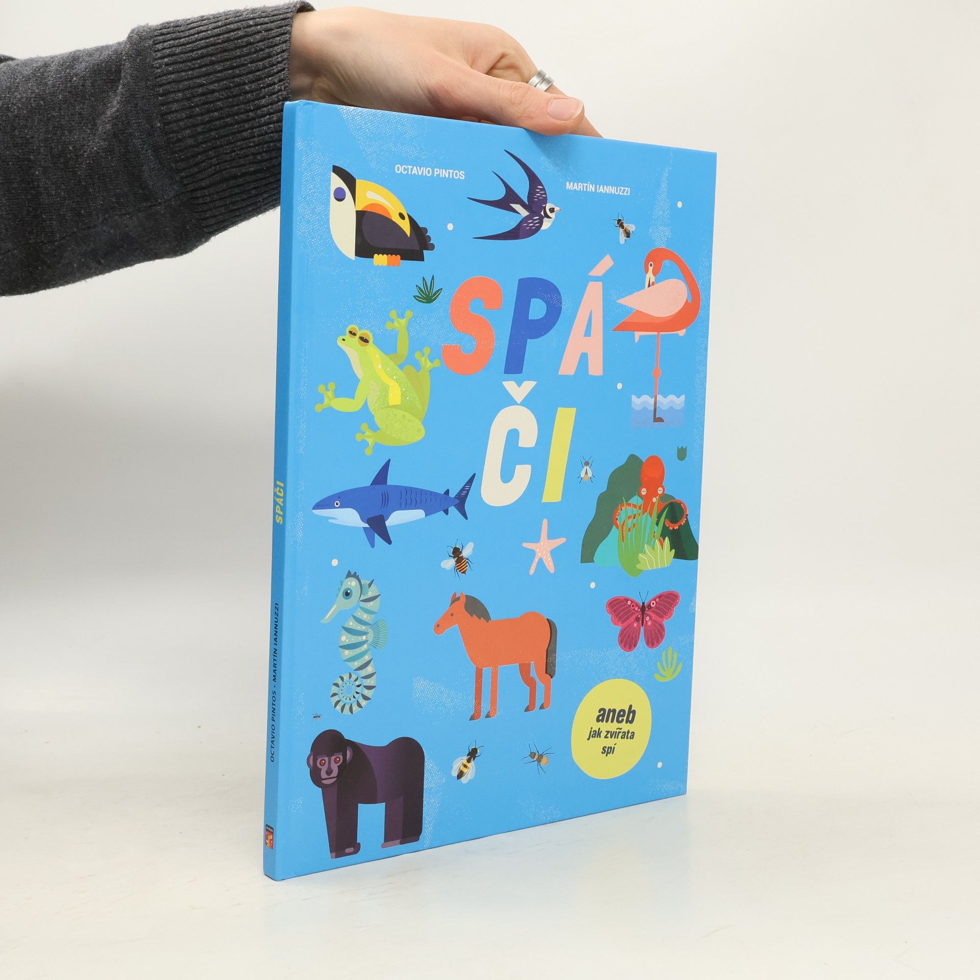 Octavio Pintos Spáči aneb jak zvířata spí