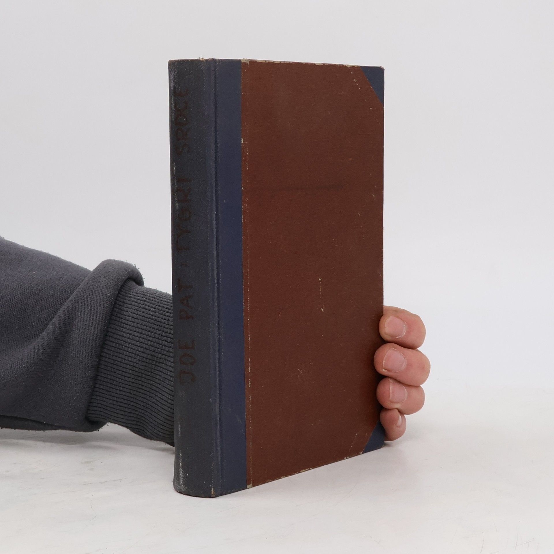 Joe Pat Tygří srdce