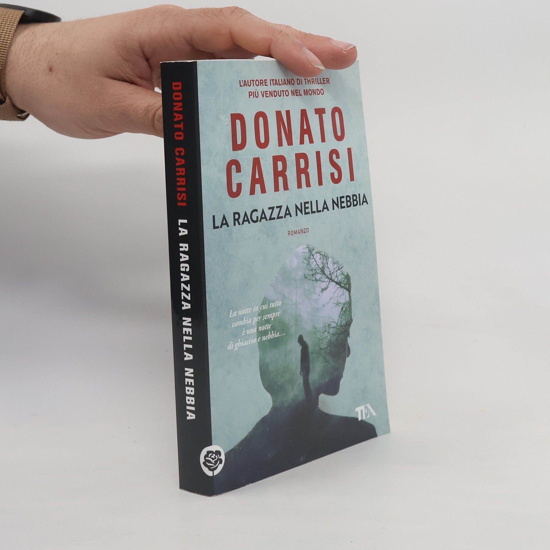 Donato Carrisi La ragazza nella nebbia