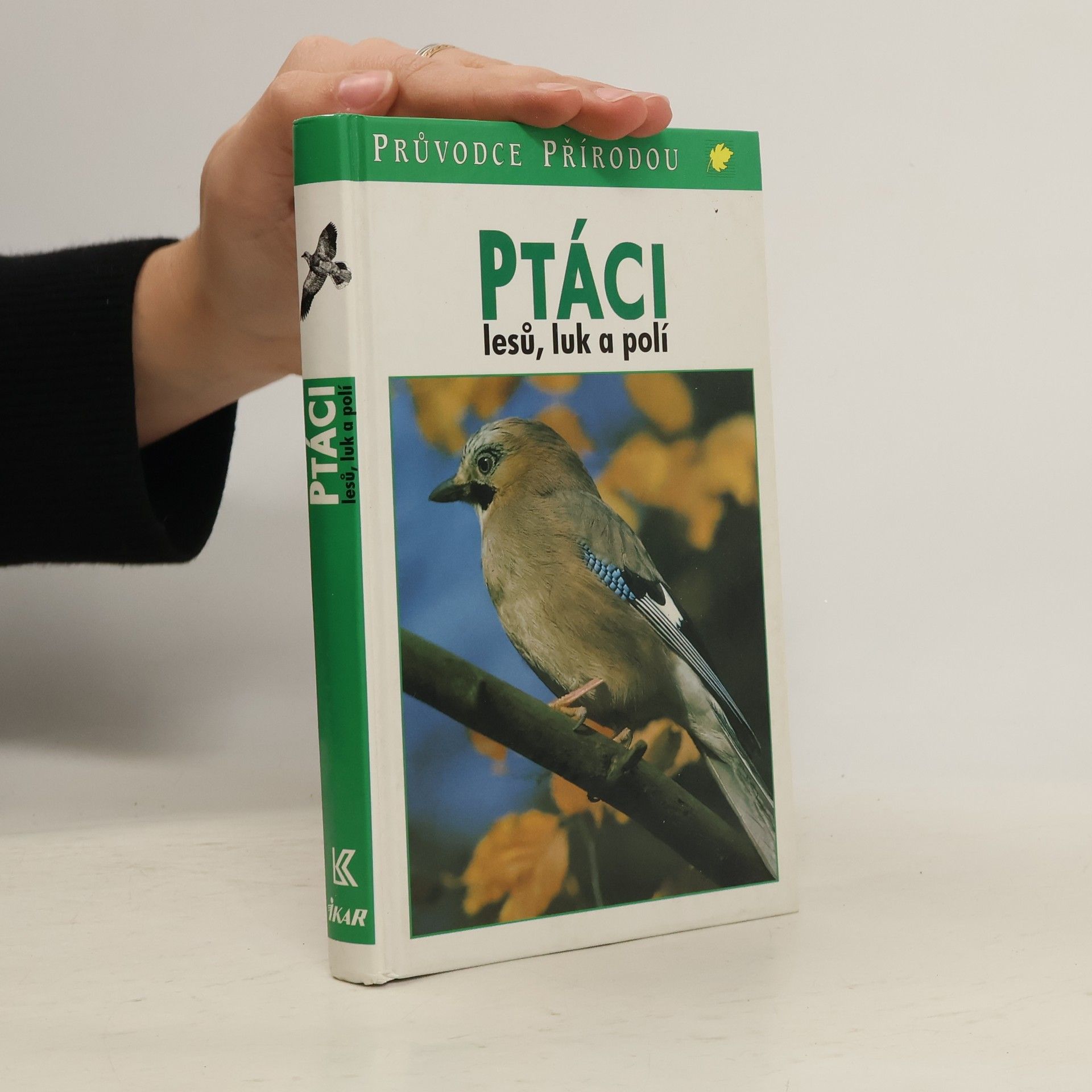 Frieder Sauer Ptáci lesů, luk a polí