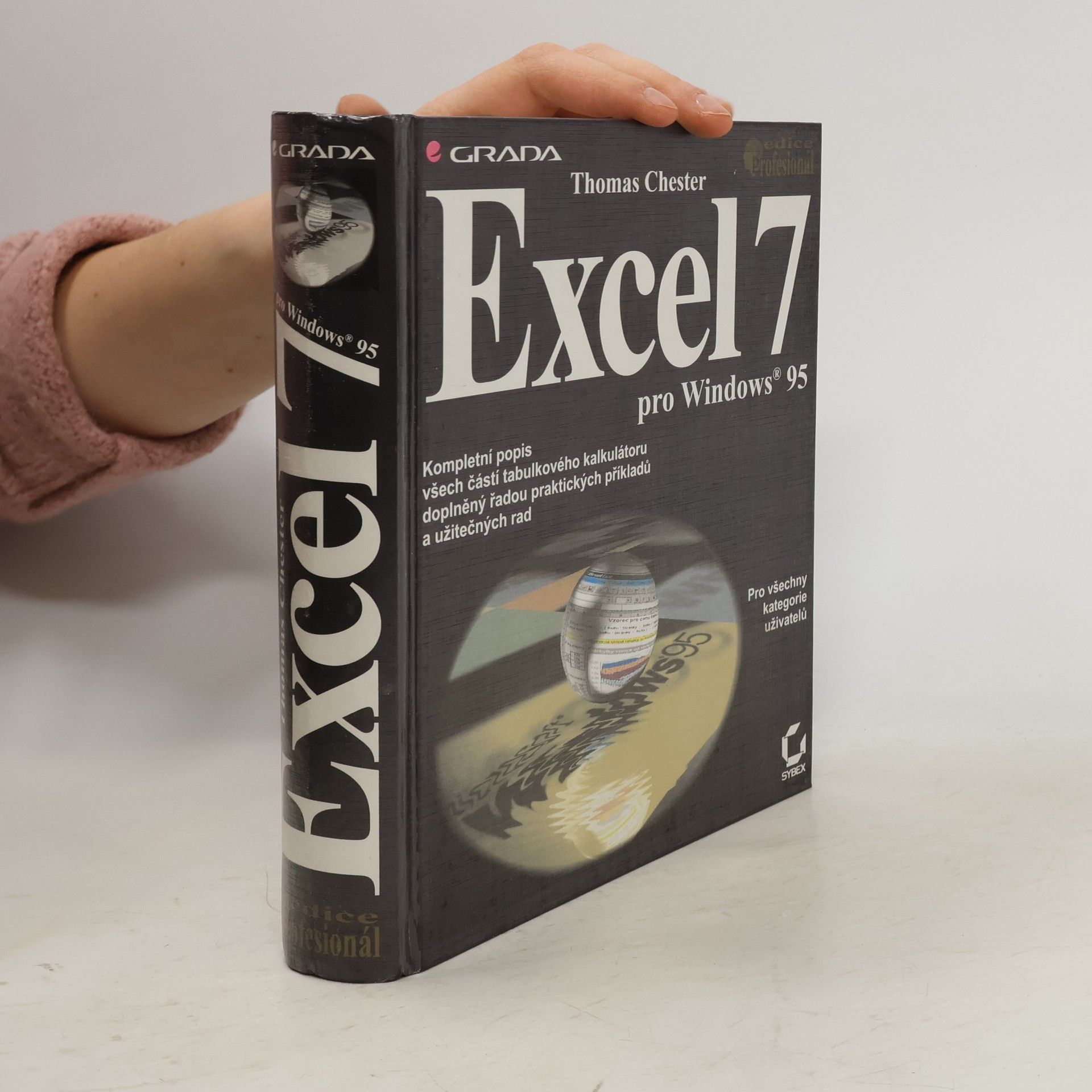 Thomas Chester Excel 7 pro Windows 95