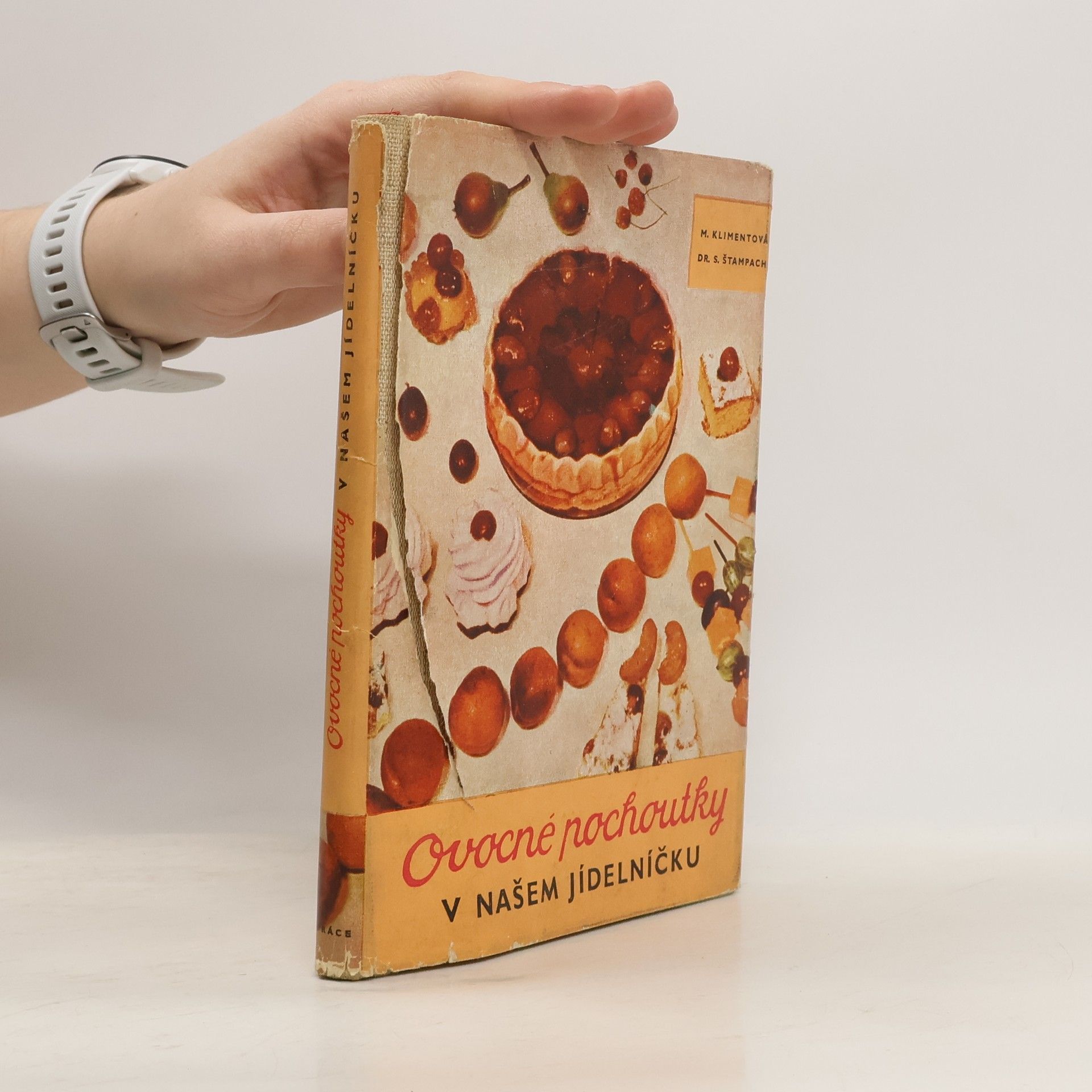 Maryna Klimentová Ovocné pochoutky v našem jídelníčku