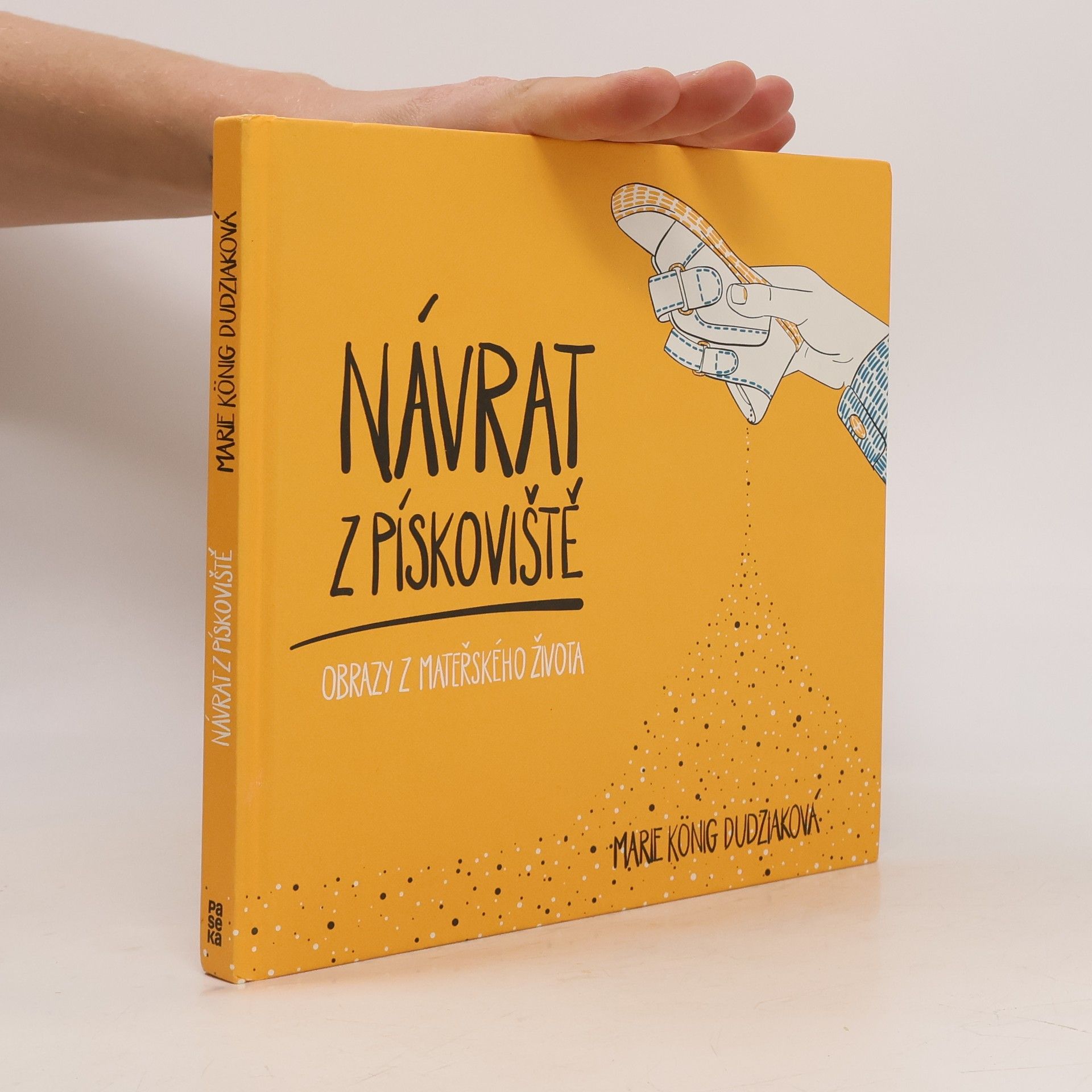 Marie König Dudziaková Návrat z pískoviště : obrazy z mateřského života