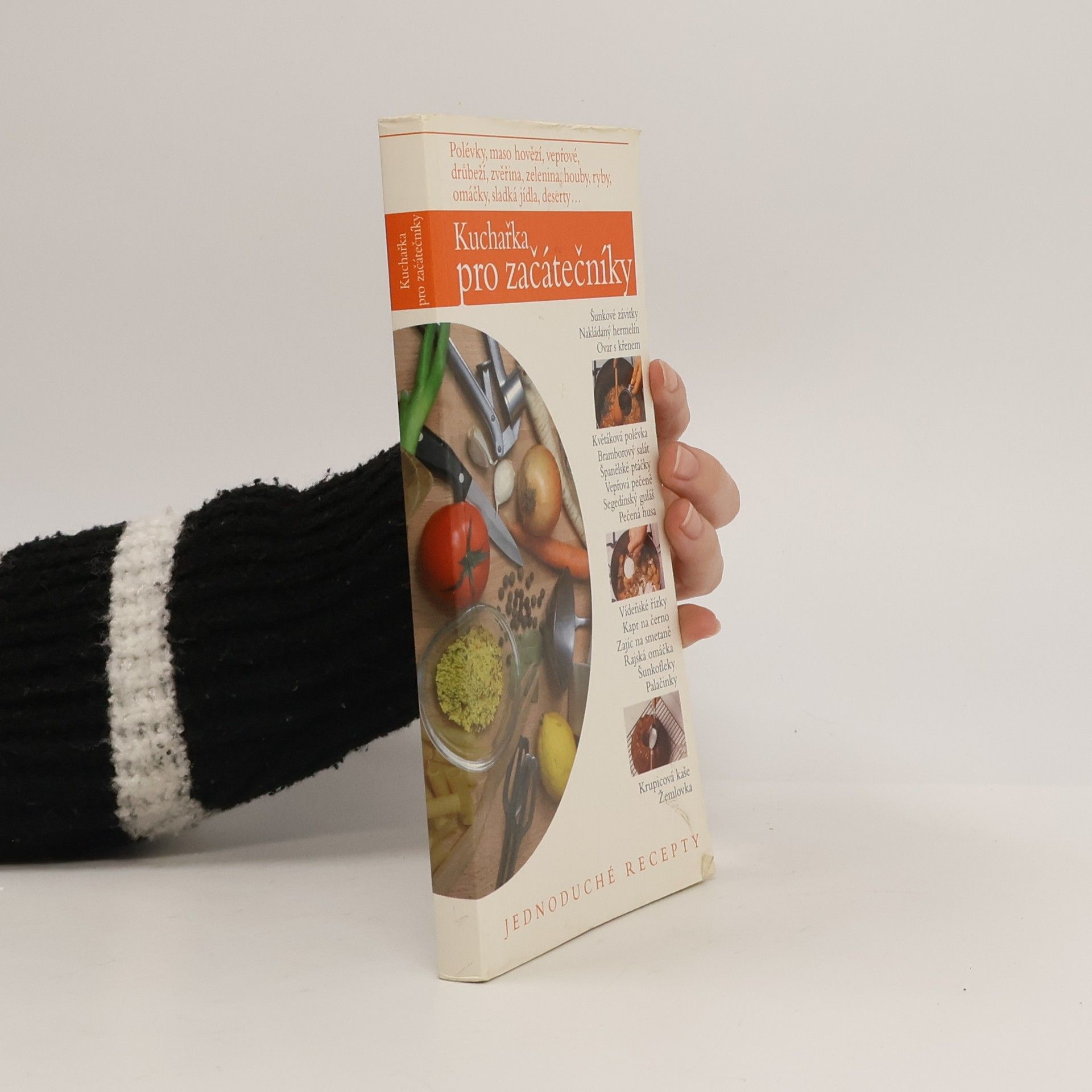 Zdeněk Cibulka Kuchařka pro začátečníky: Jednoduché recepty
