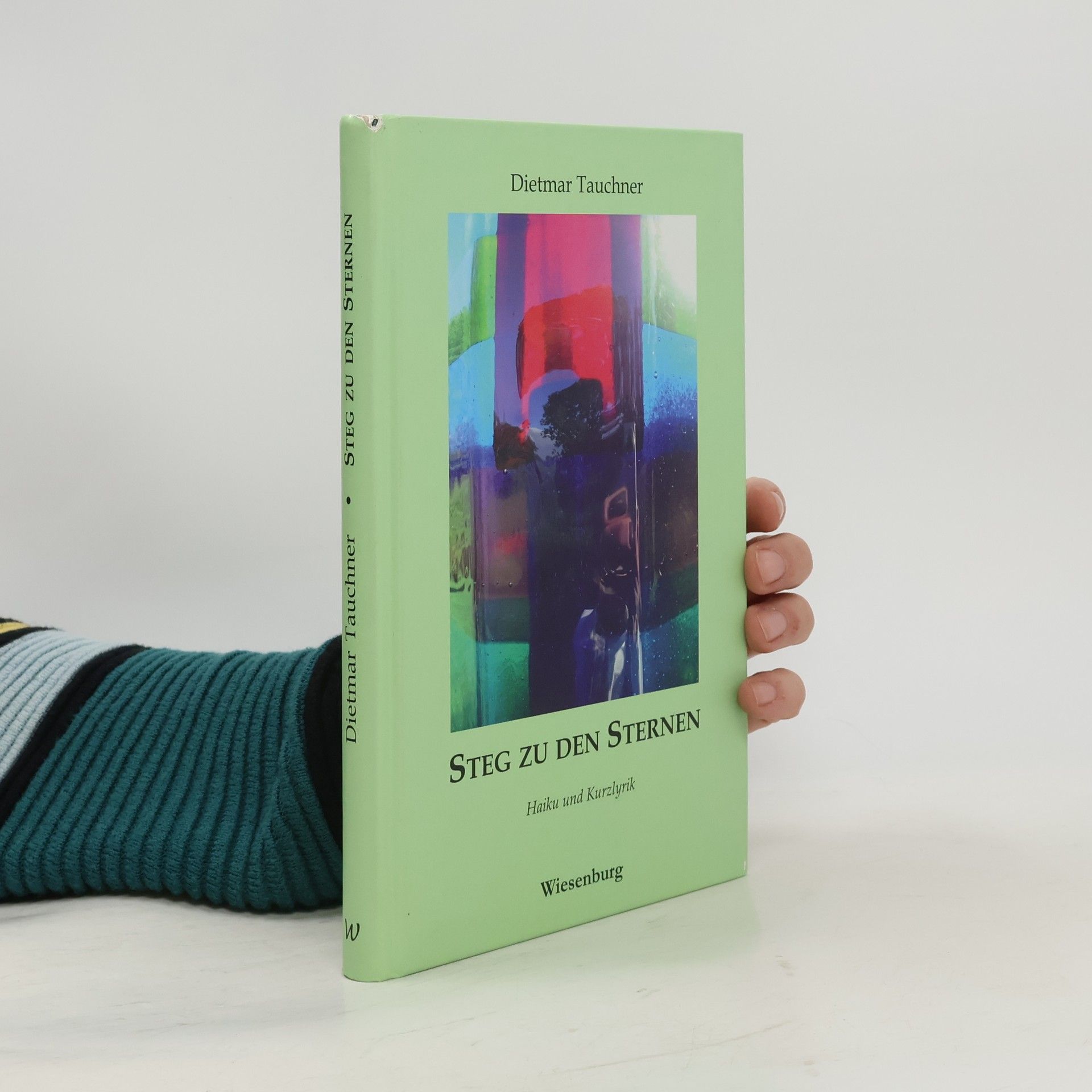 Dietmar Tauchner Steg zu den Sternen