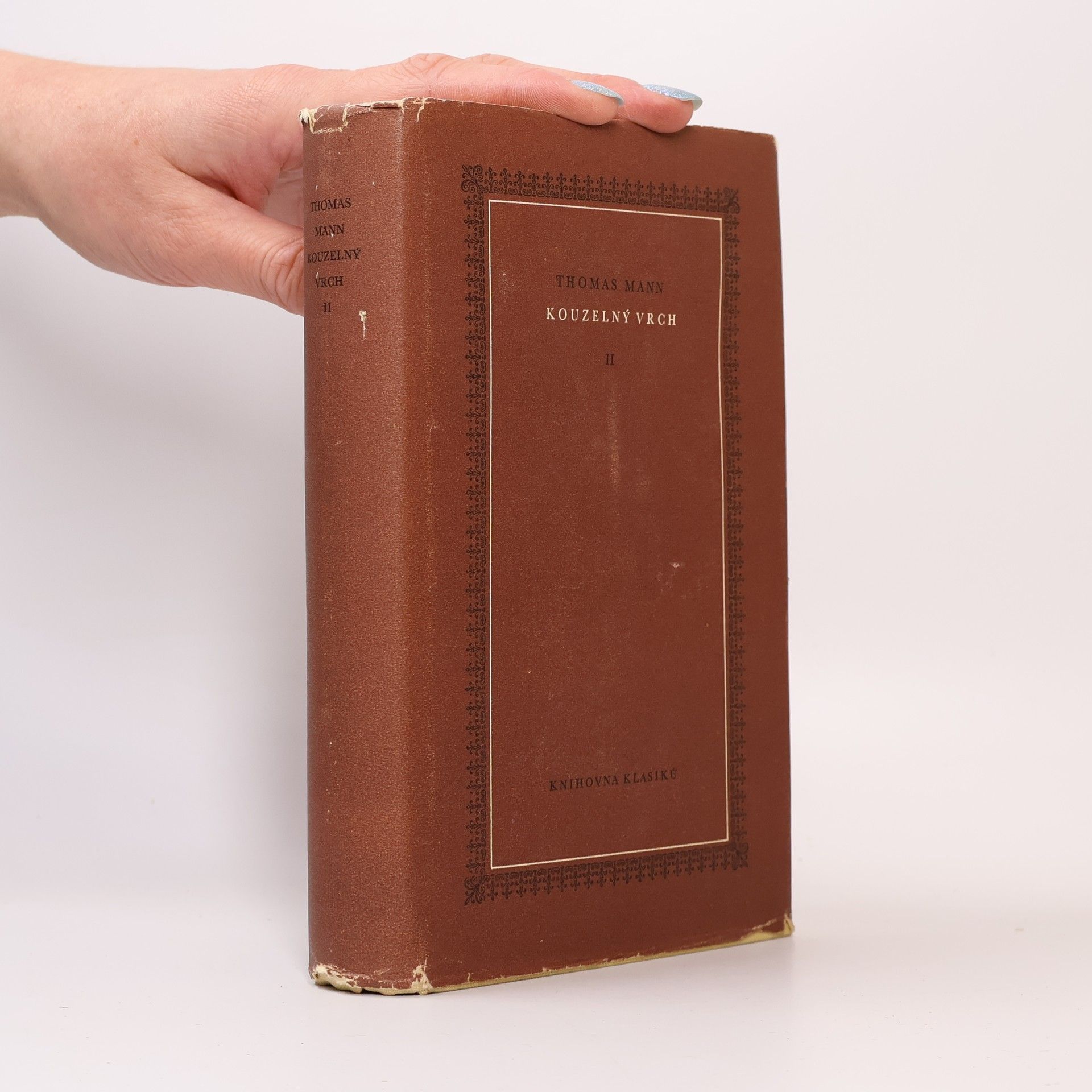 Thomas Mann Kouzelný vrch II.