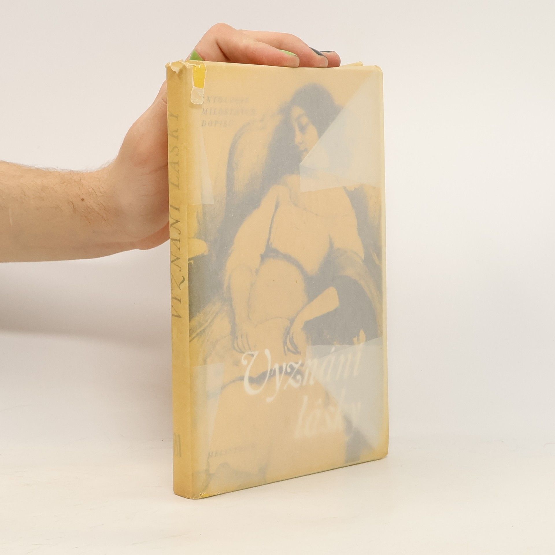 Kolektiv autorů Vyznání lásky. Antologie milostných dopisů