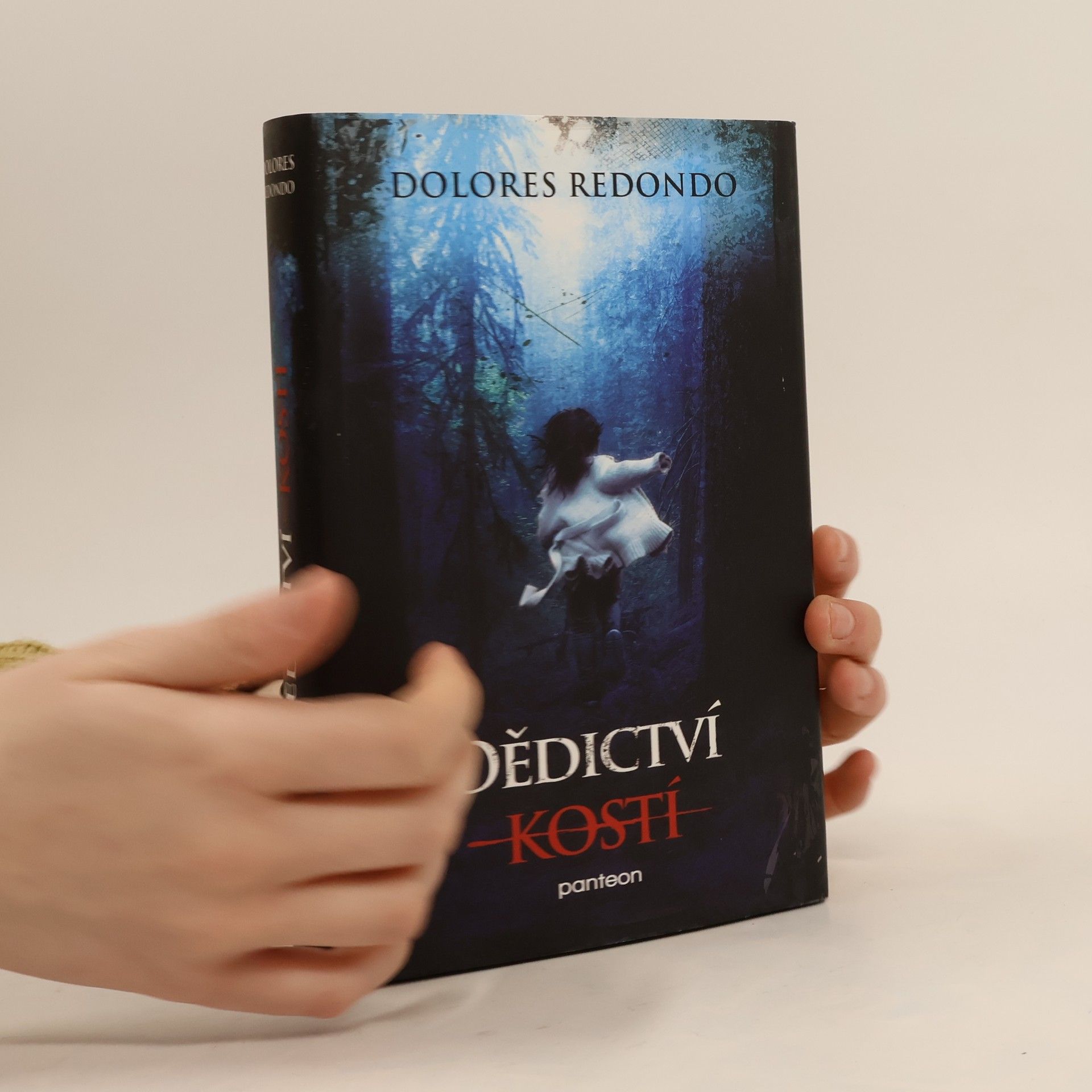 Dolores Redondo Dědictví kostí