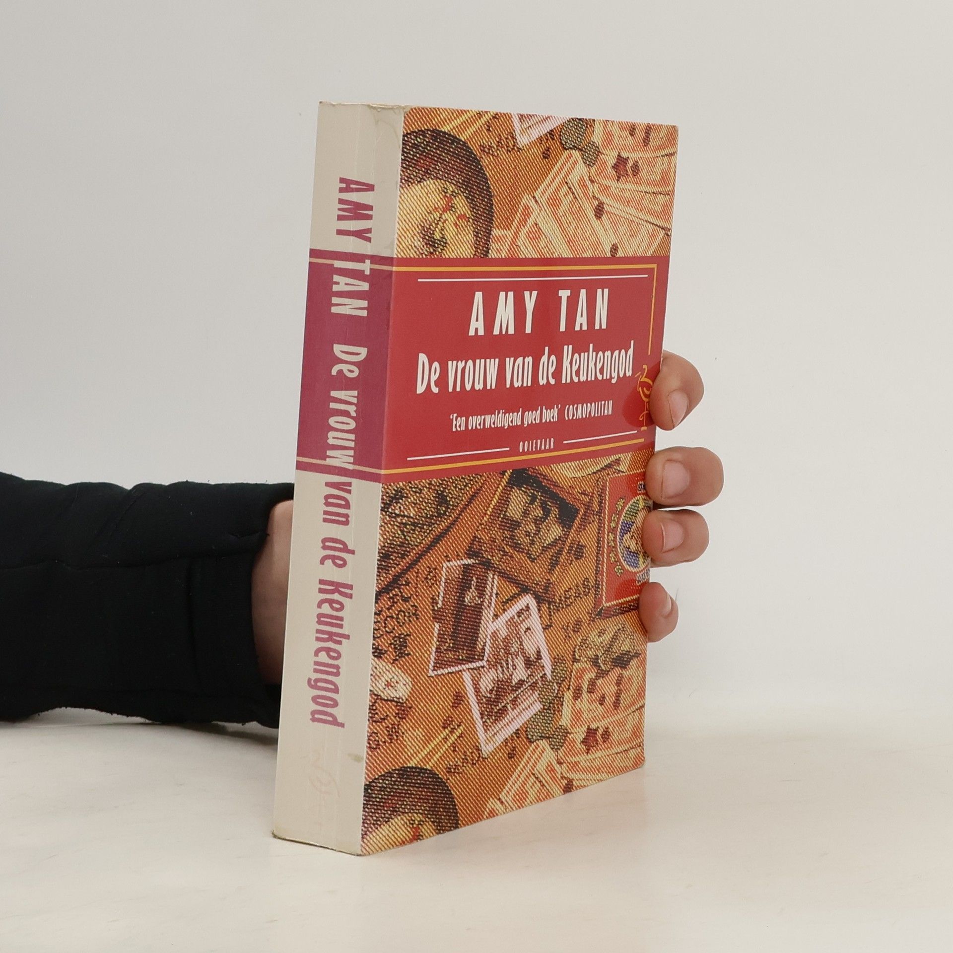 Amy Tan De vrouw van de Keukengod