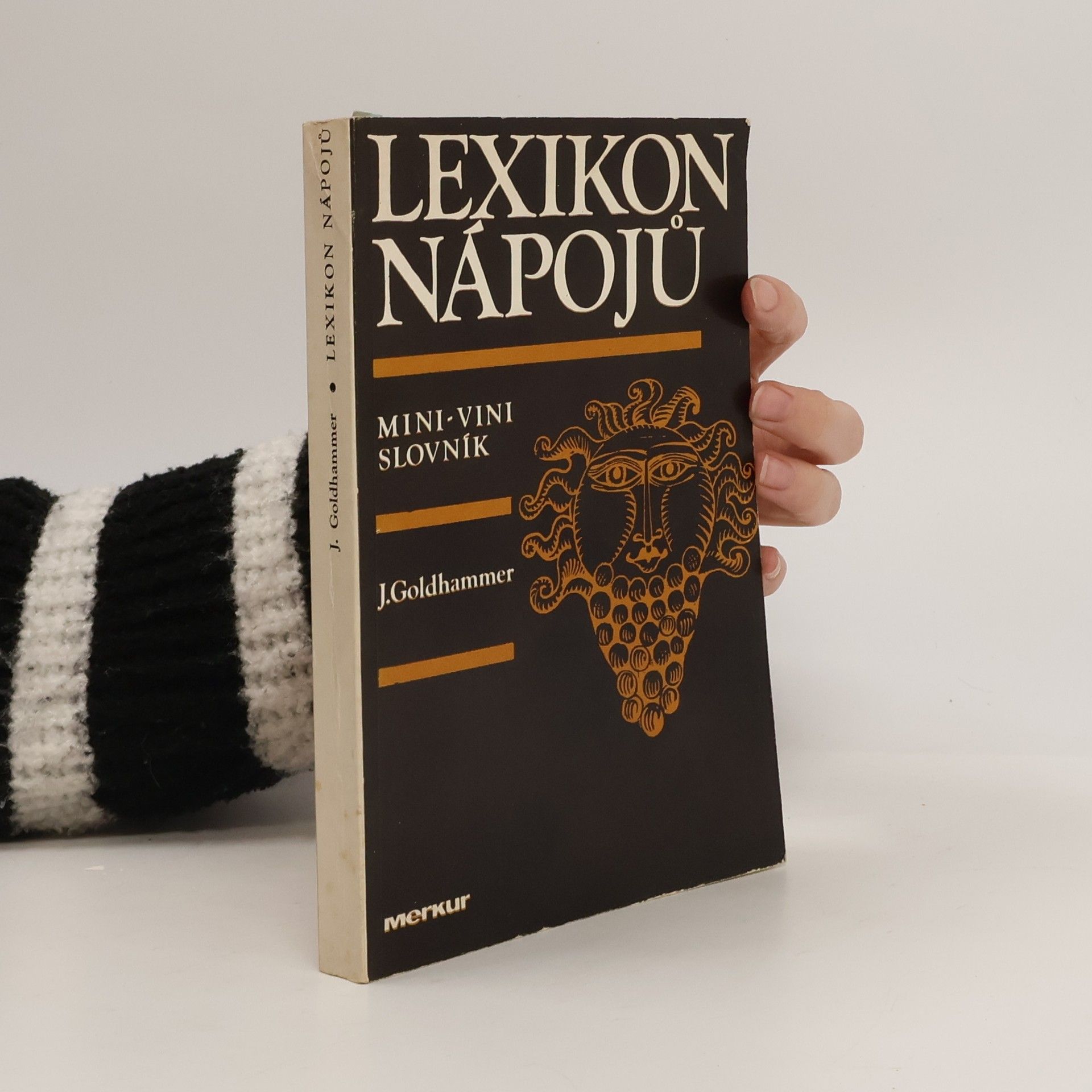 Jan Goldhammer Lexikon nápojů. Mini-vini slovník