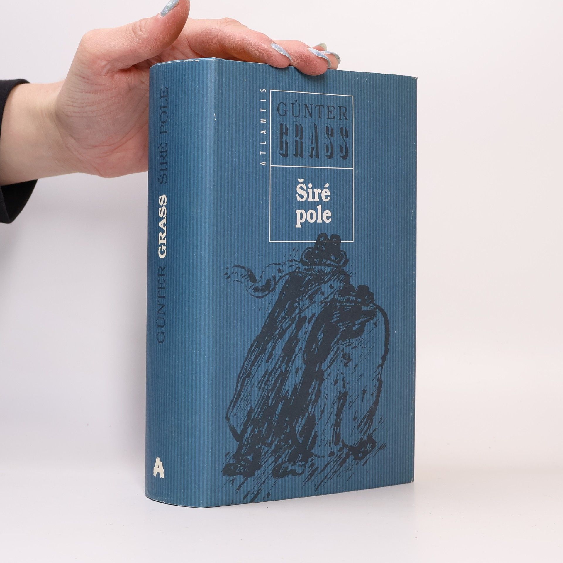 Günter Grass Širé pole