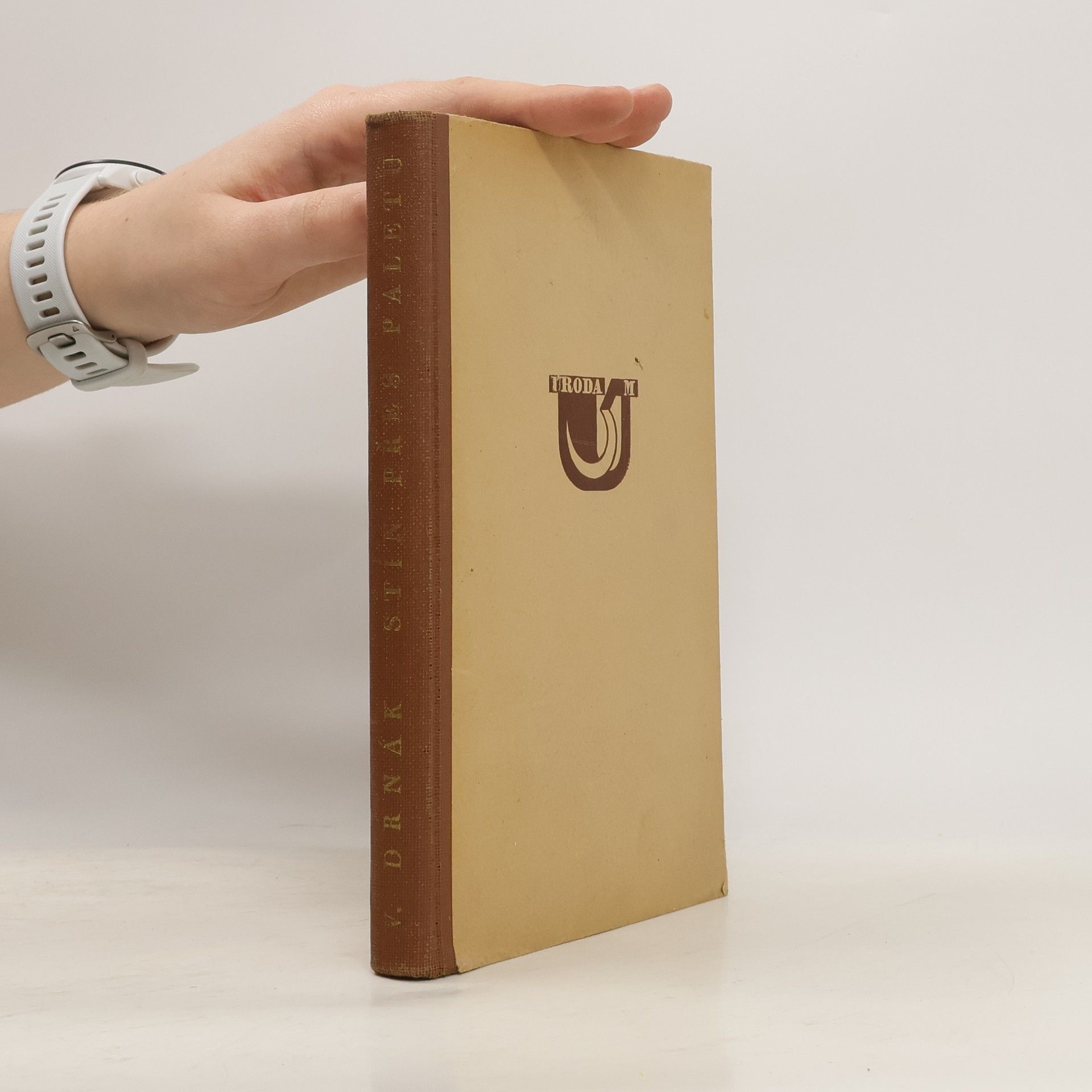 Vladimír Drnák Stín přes paletu