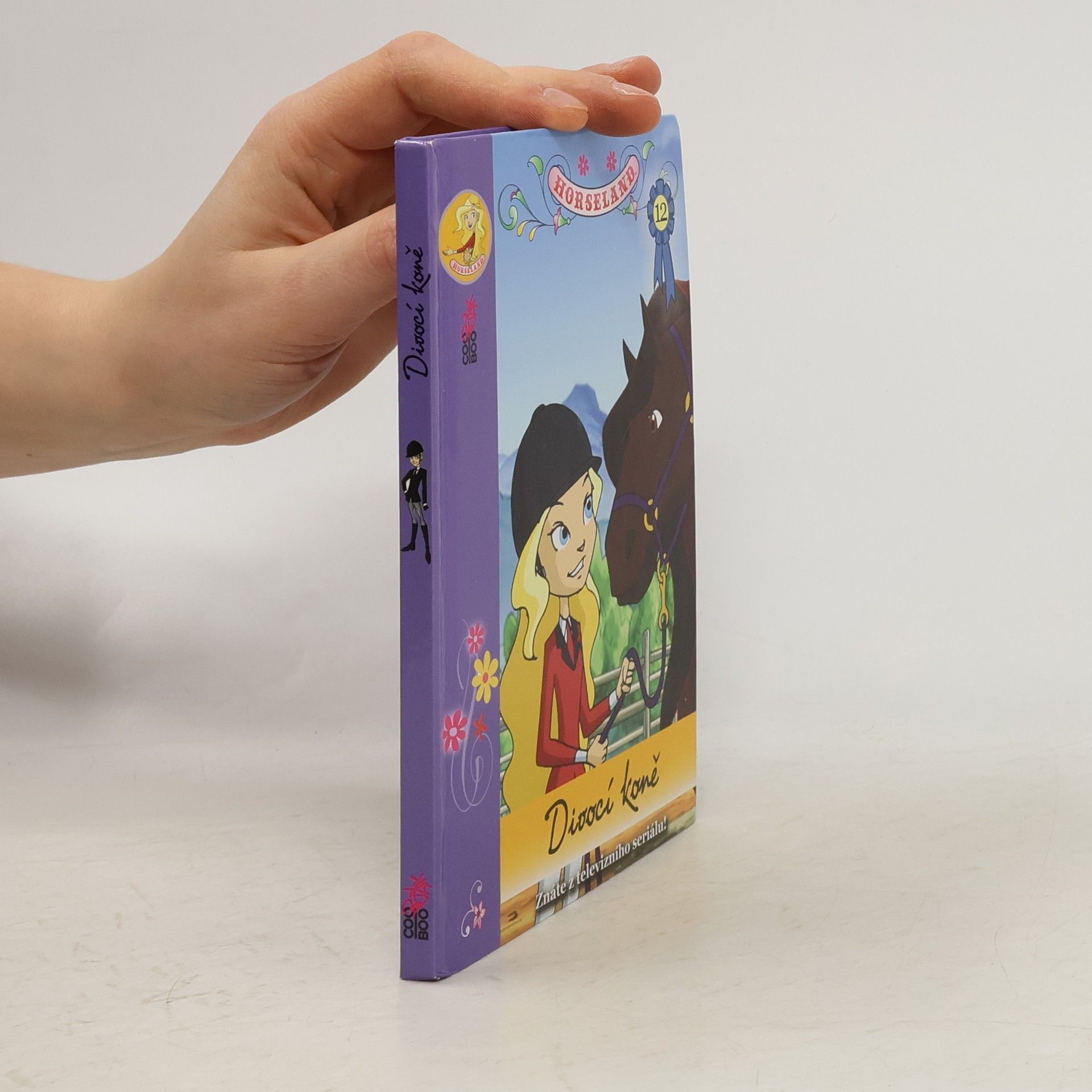 Michal Kolezsar Divocí koně