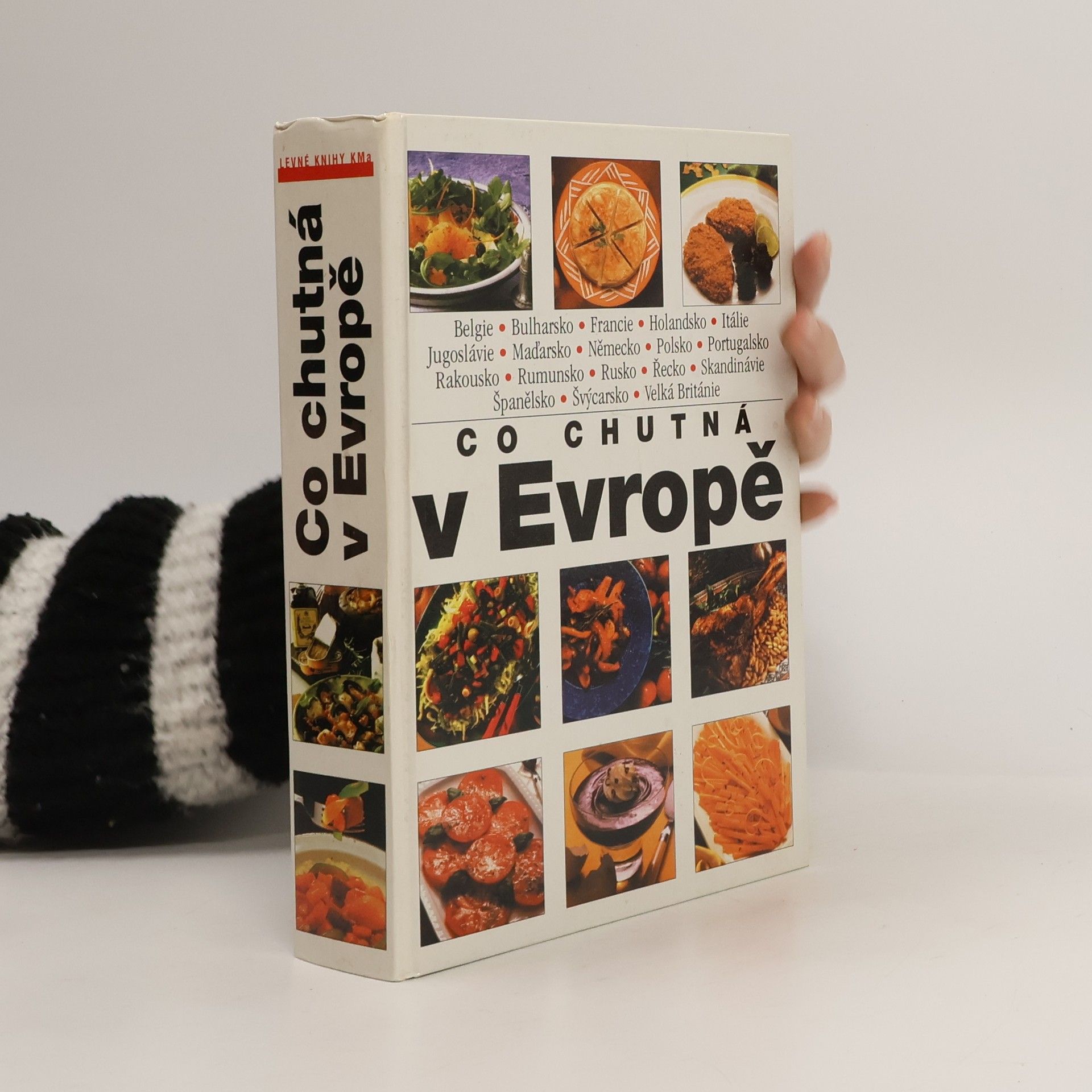 Libuše Vlachová Co chutná v Evropě