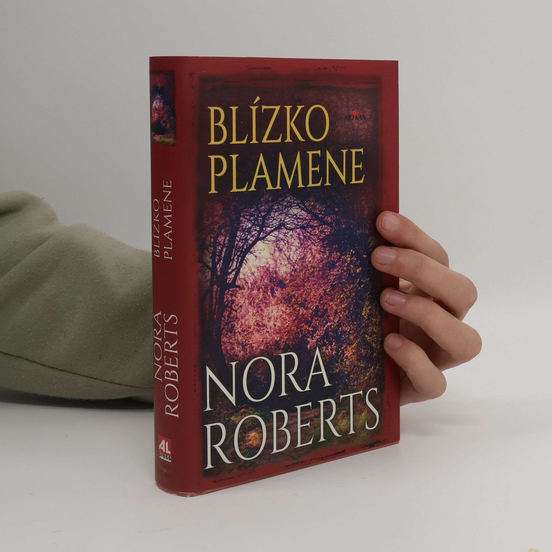 Nora Roberts Blízko plamene
