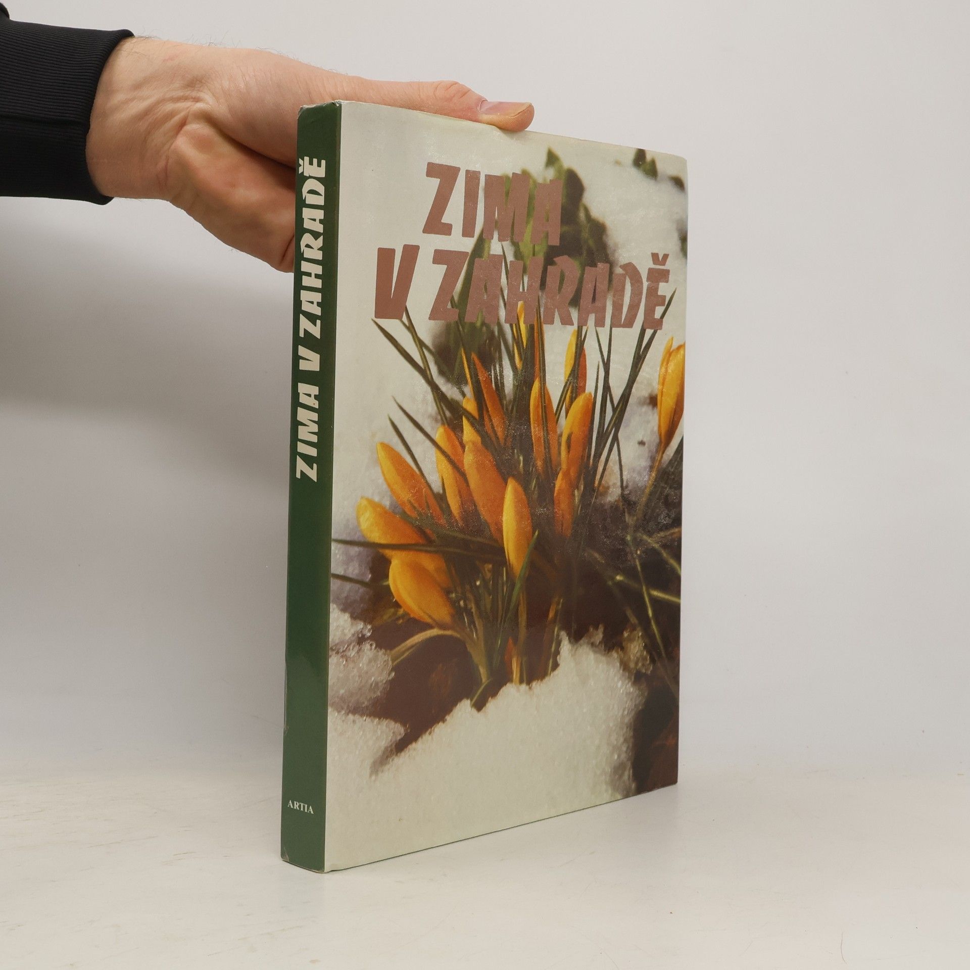 Eva Fürst Zima v zahradě