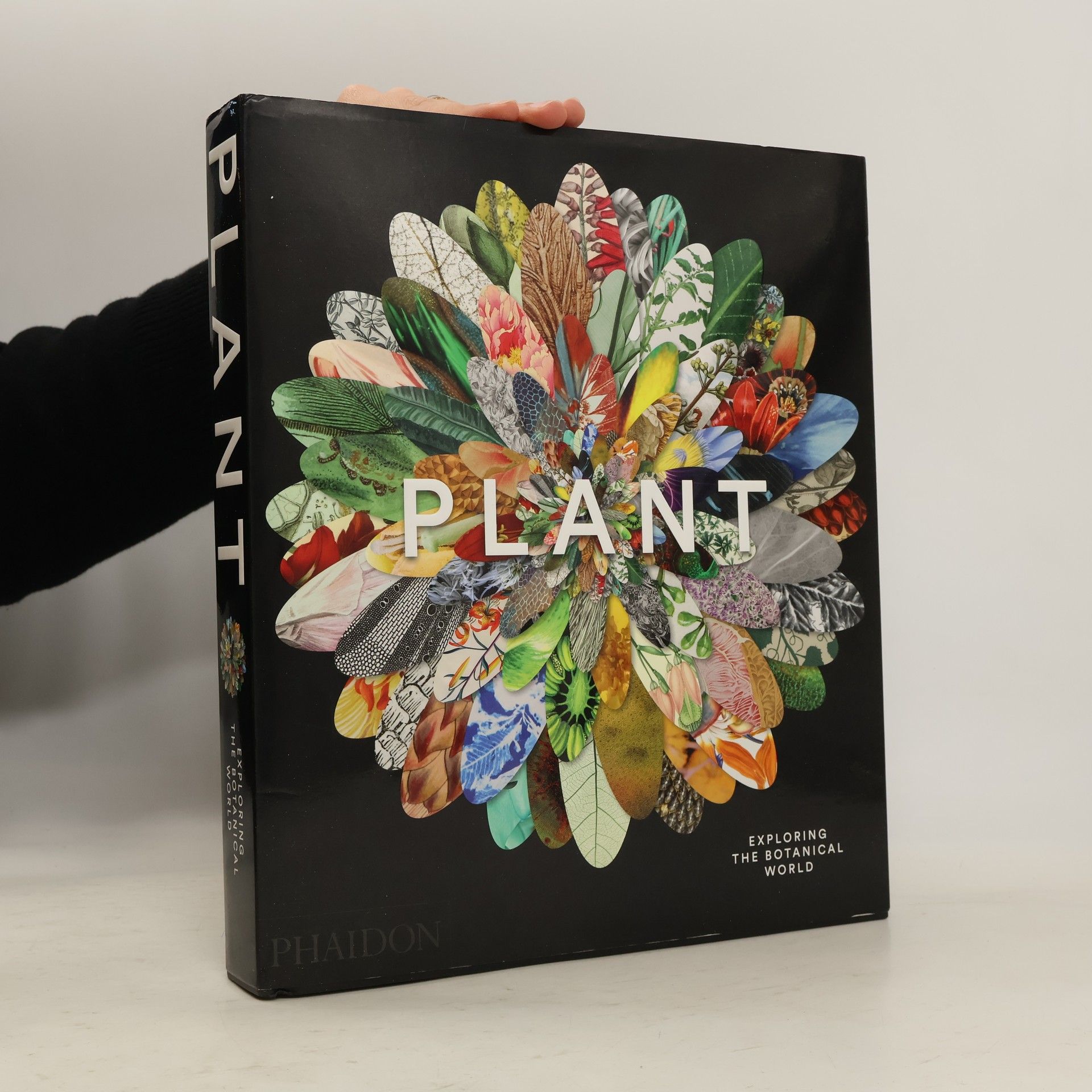 Autores varios Plant