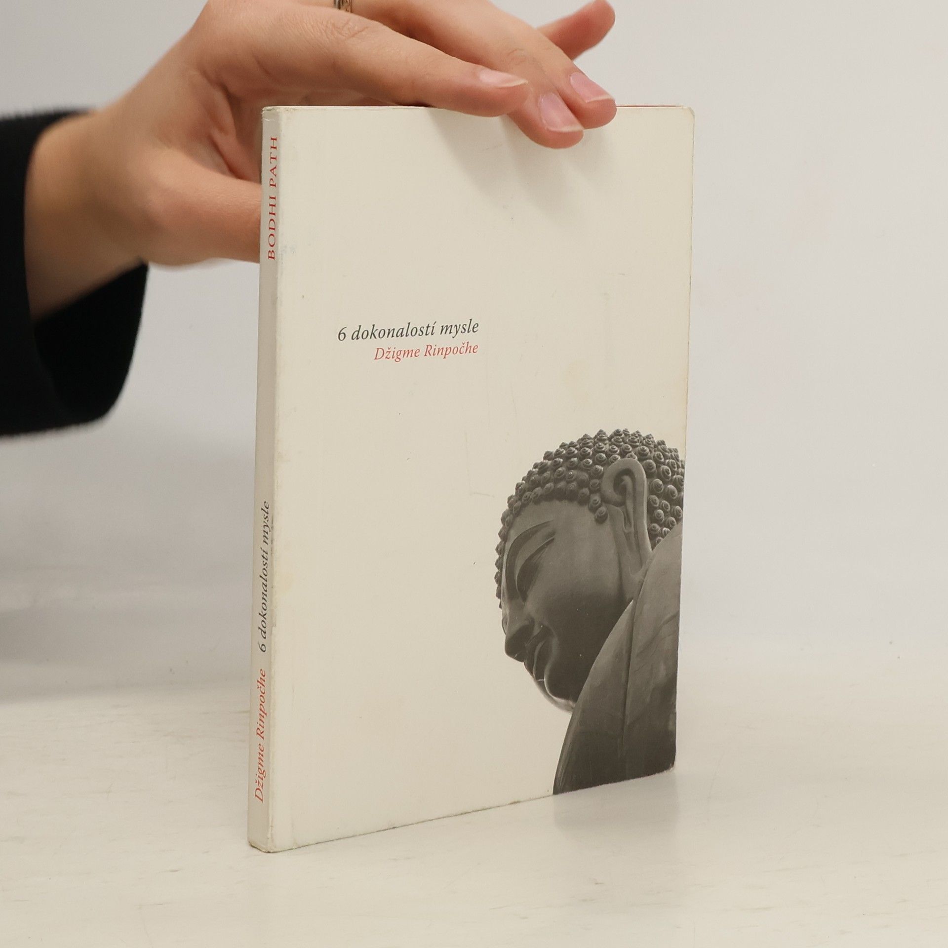 Auteurscollectief 6 dokonalostí mysle