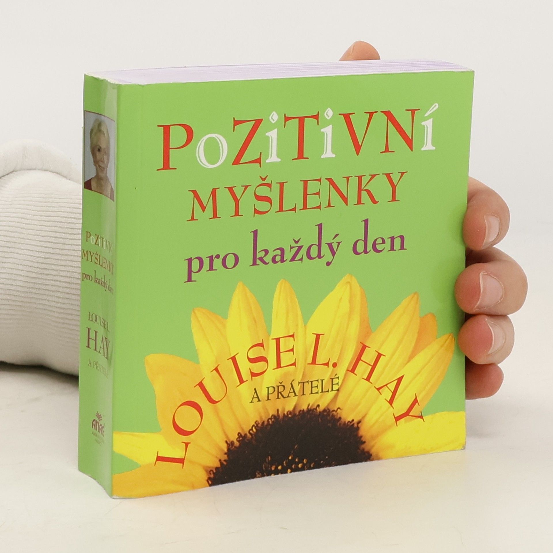 Lousie L. Hay Pozitivní myšlenky pro každý den