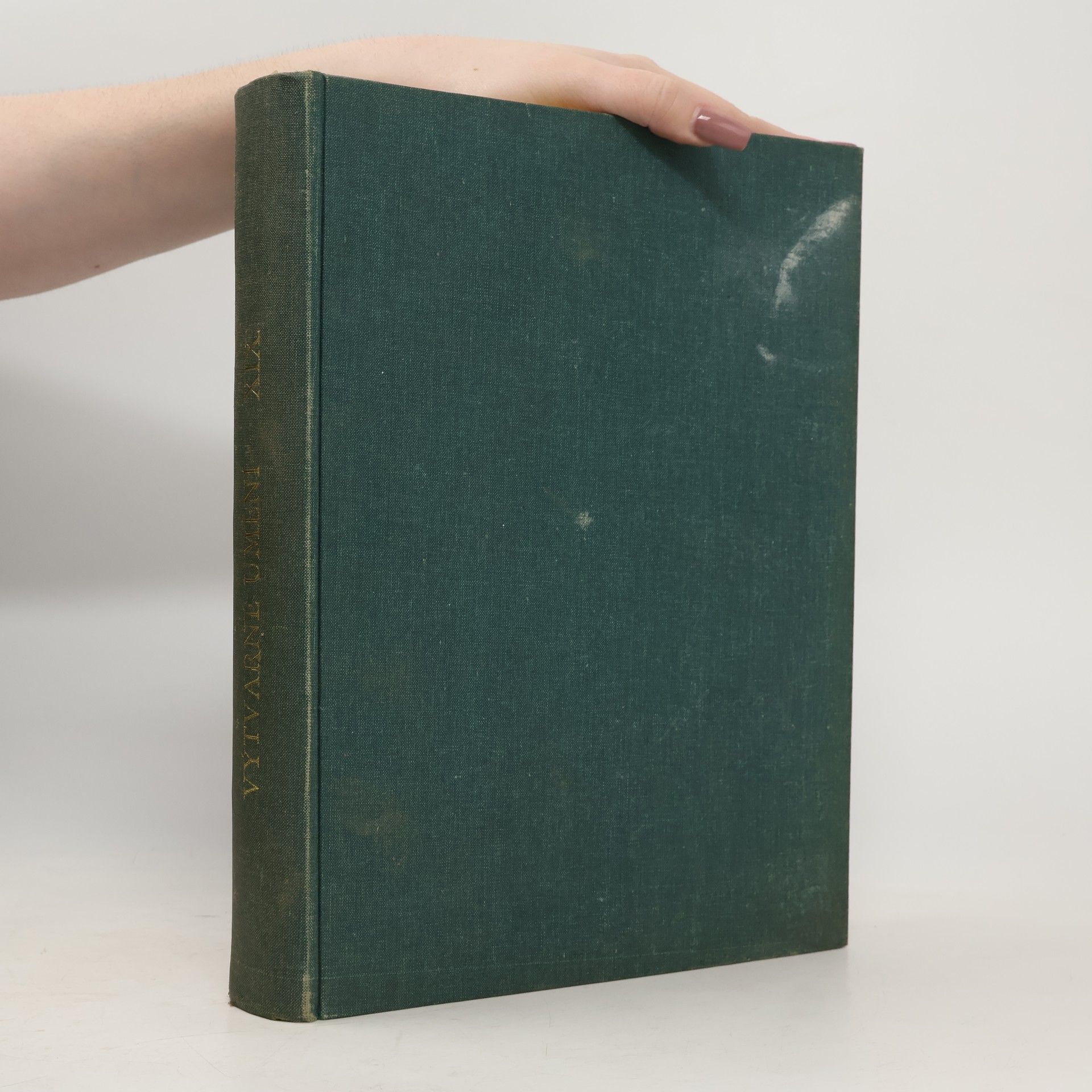 Kolektív autorov Výtvarné umění XIX.